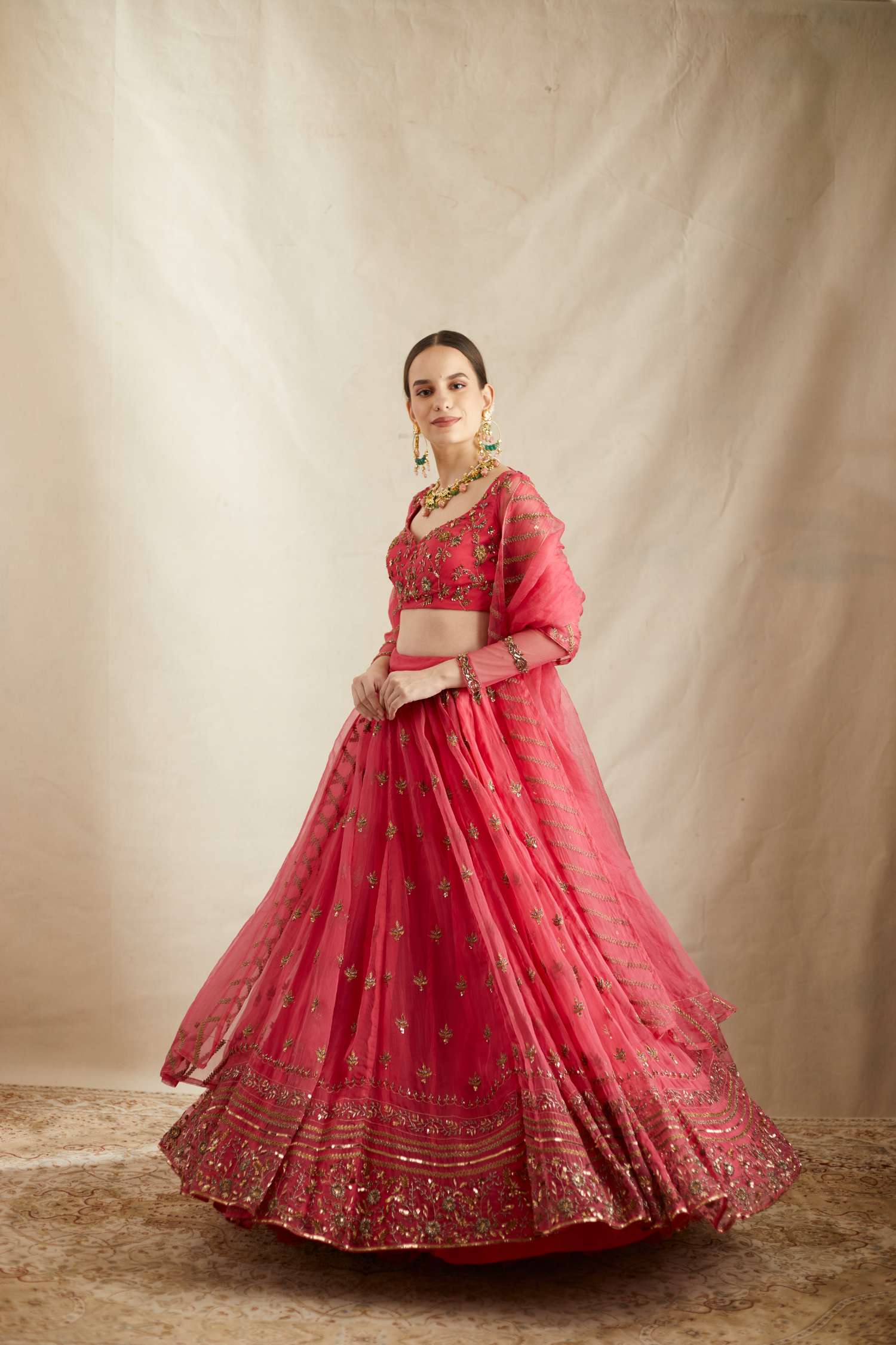 Carmine Pink Silk Organza Crepe Embroidered Lehenga