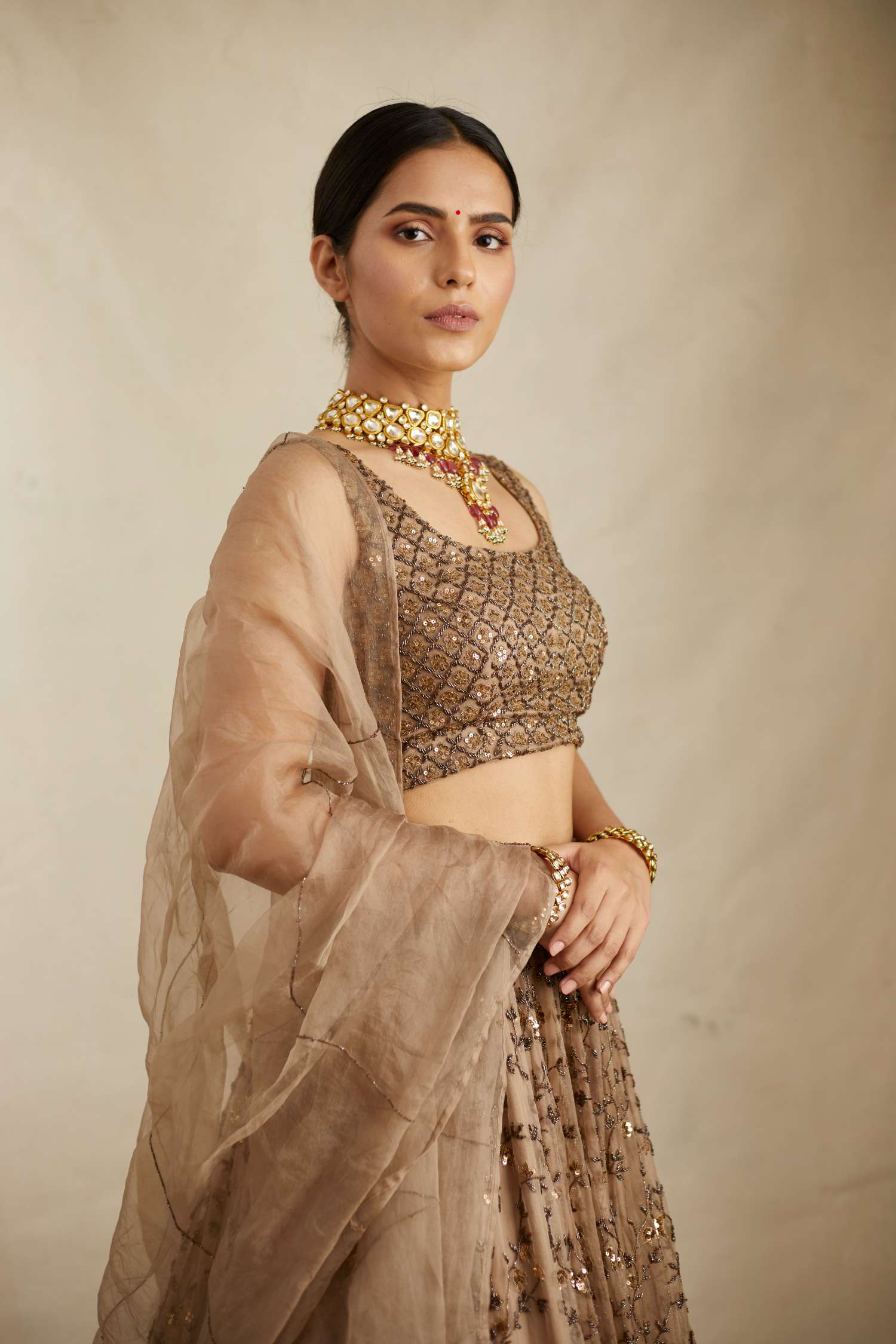 Brown Jaal Work Organza Lehenga Set