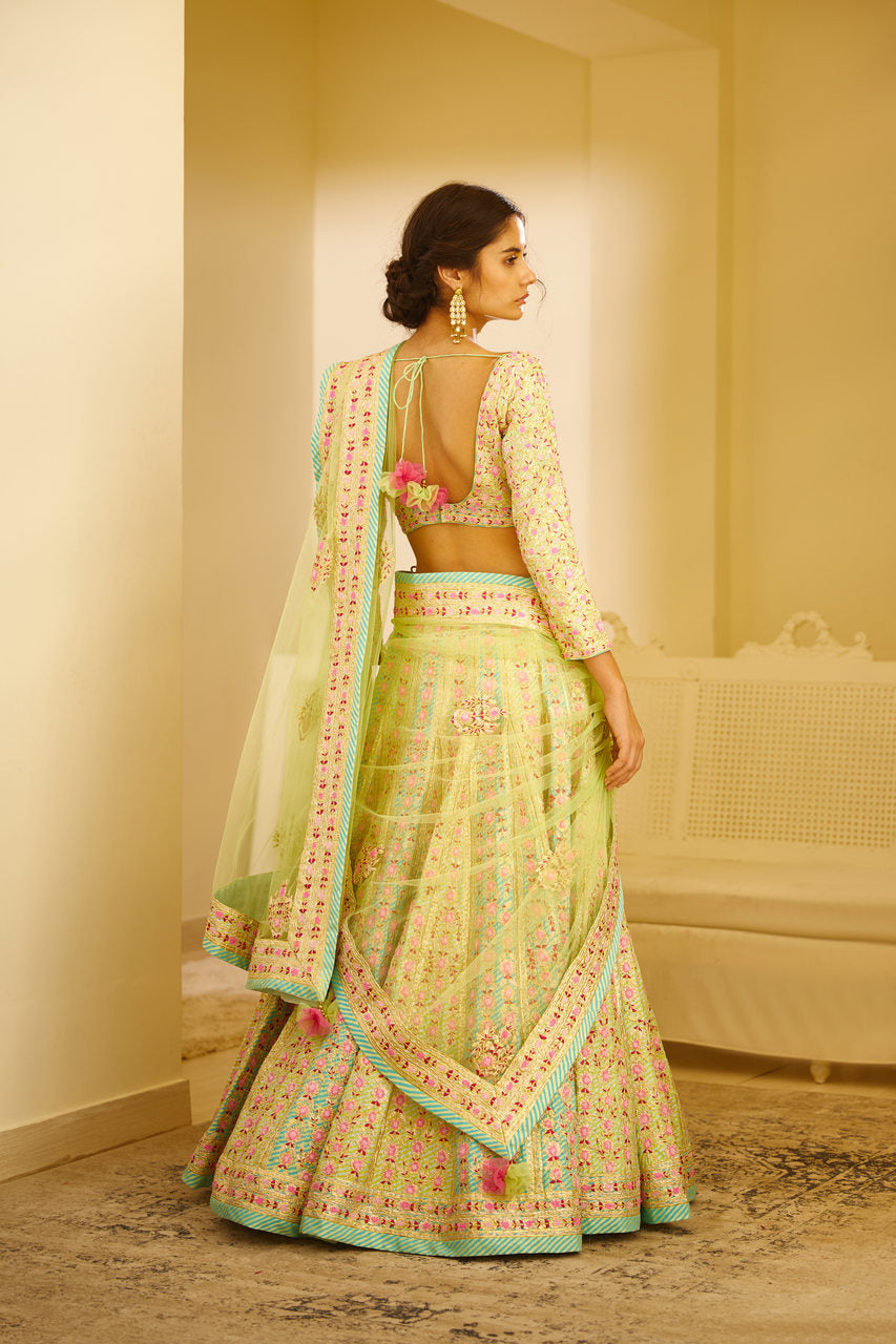 Multicolored Lehenga Set