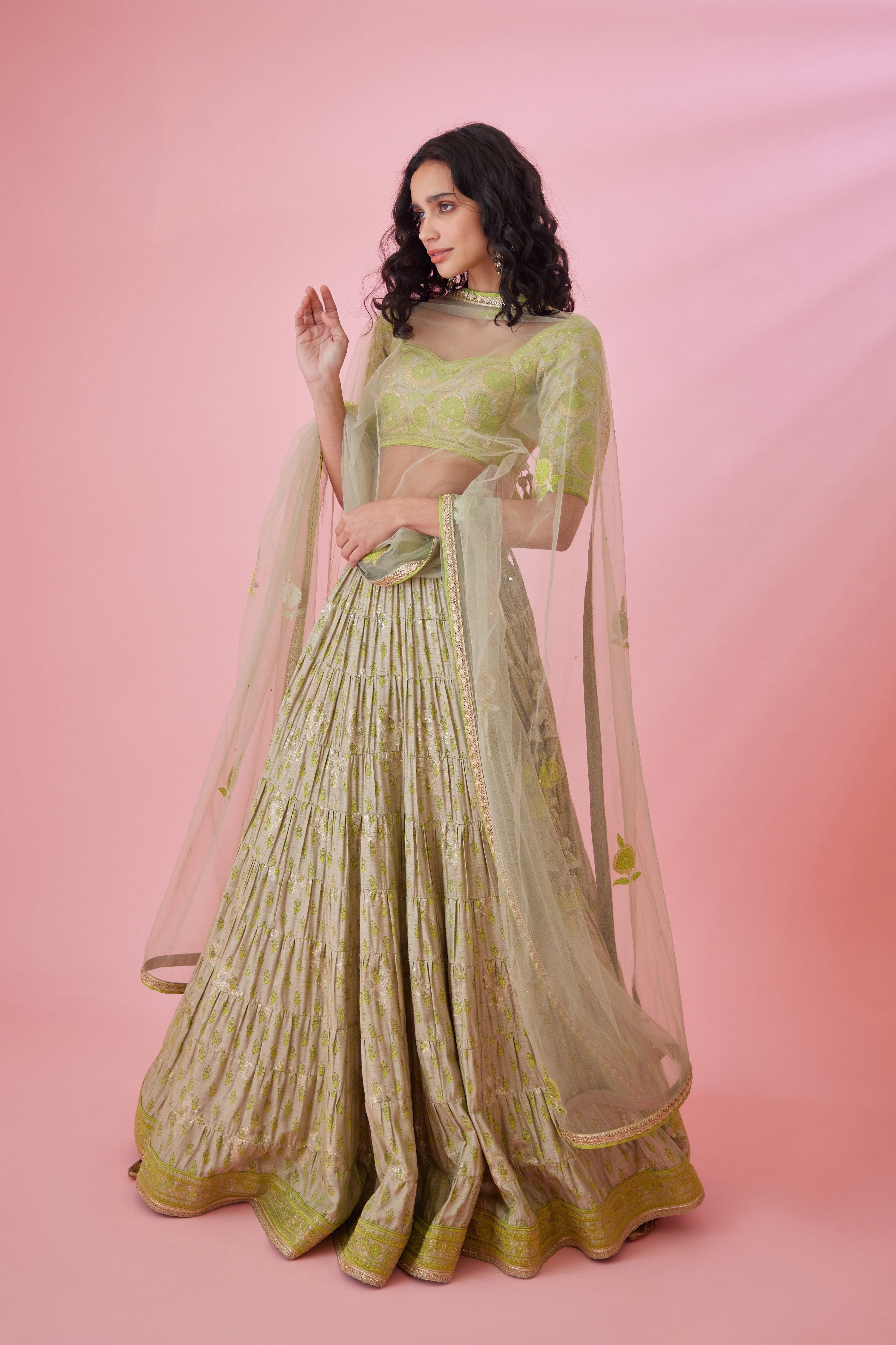Meadow Green Lehenga Set