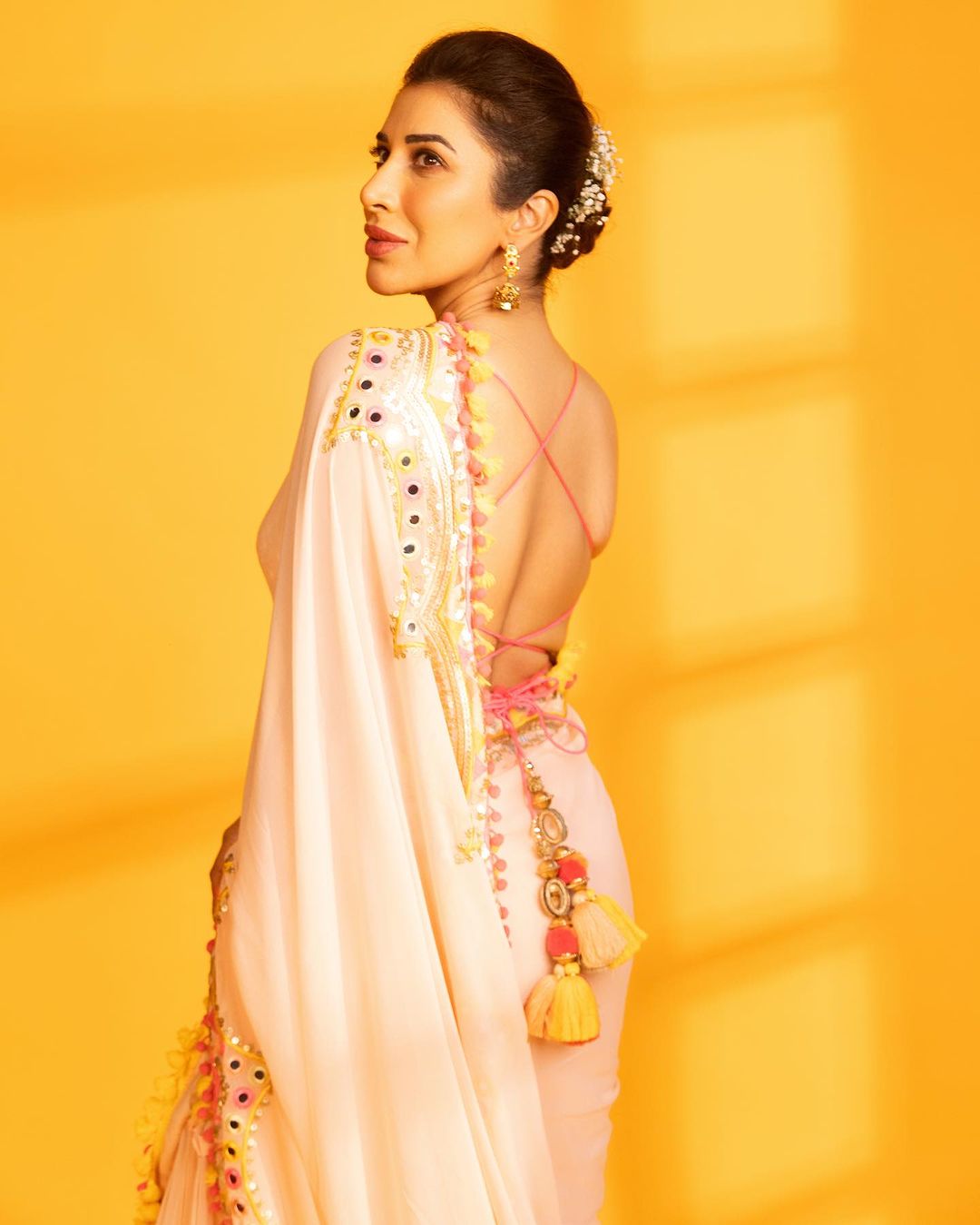 Deehar Saree -Sophie Choudry
