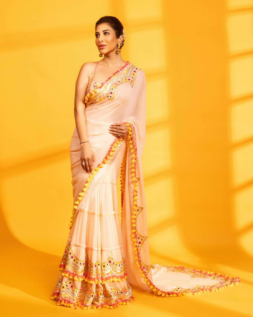 Deehar Saree -Sophie Choudry