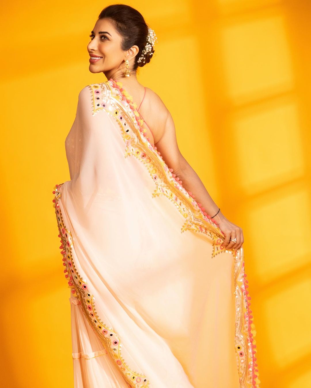 Deehar Saree -Sophie Choudry