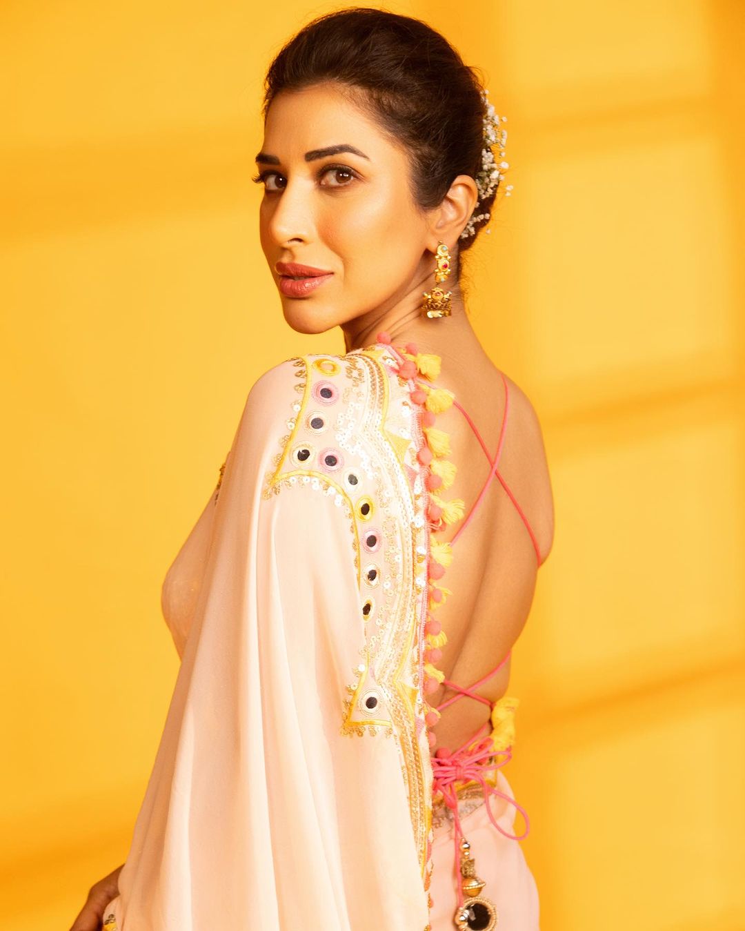 Deehar Saree -Sophie Choudry
