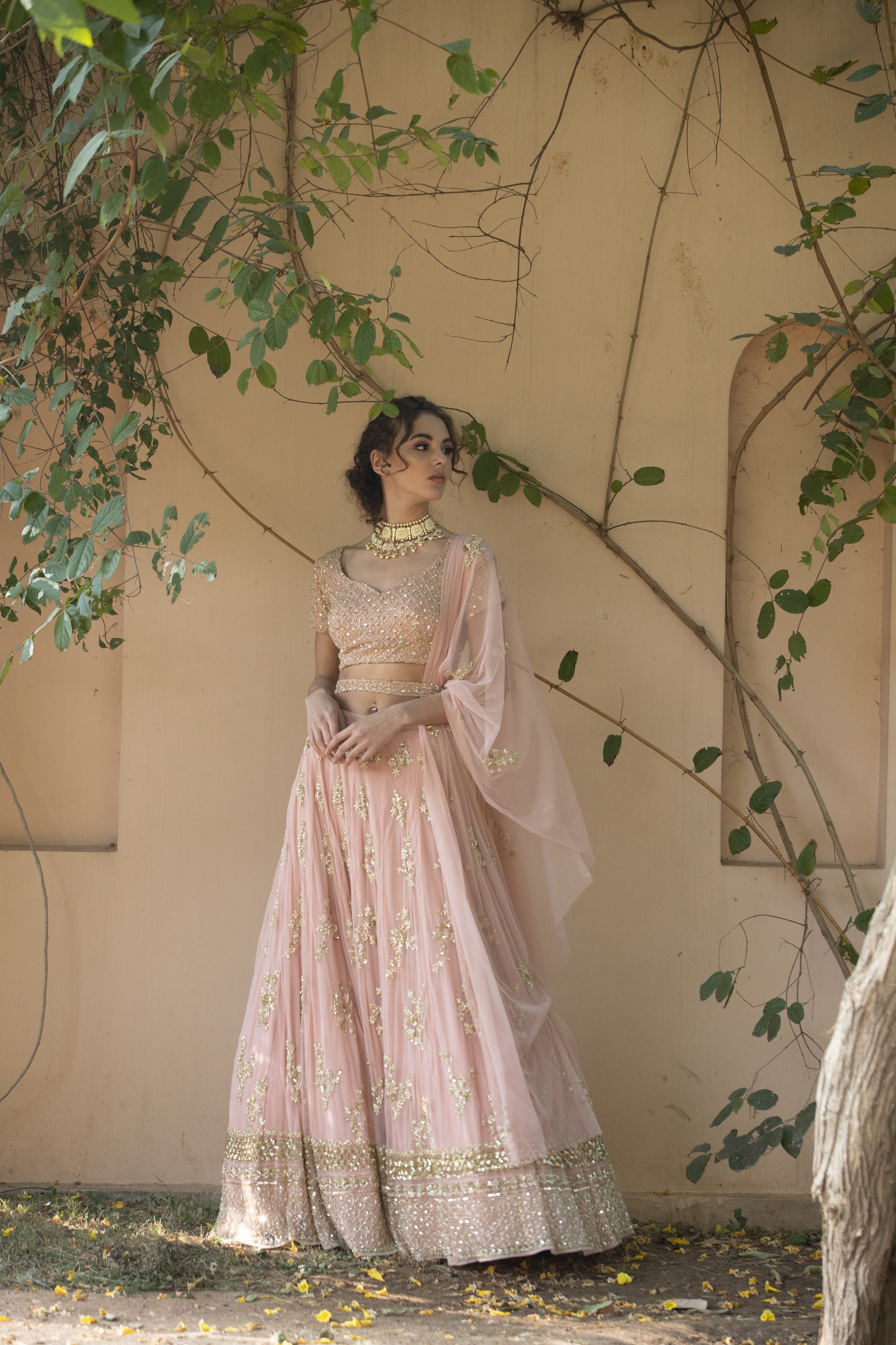 Blush Pink Bootie Lehenga With Gold Work
