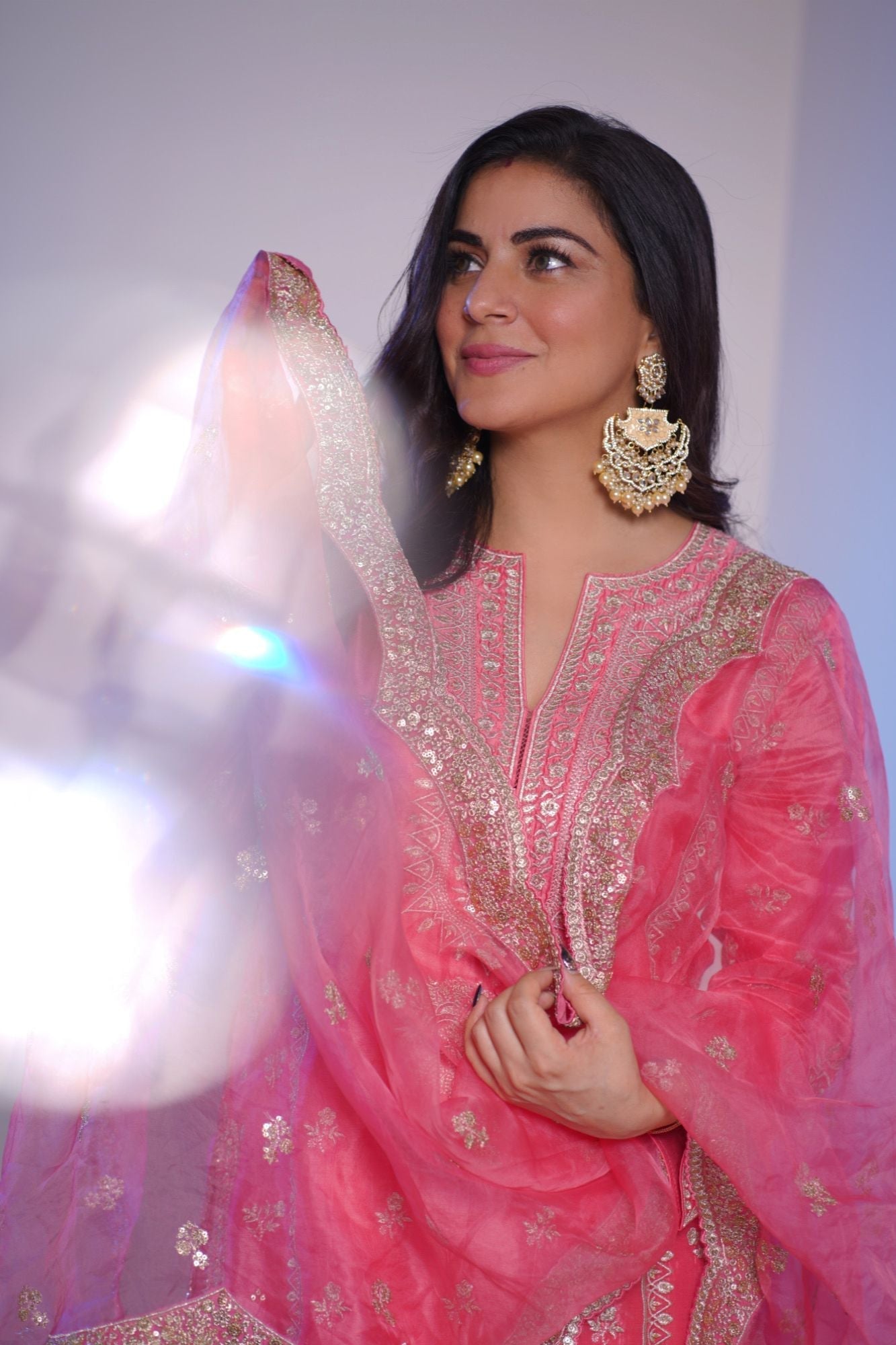 Rati Strip Sharara Set - Shraddha Arya