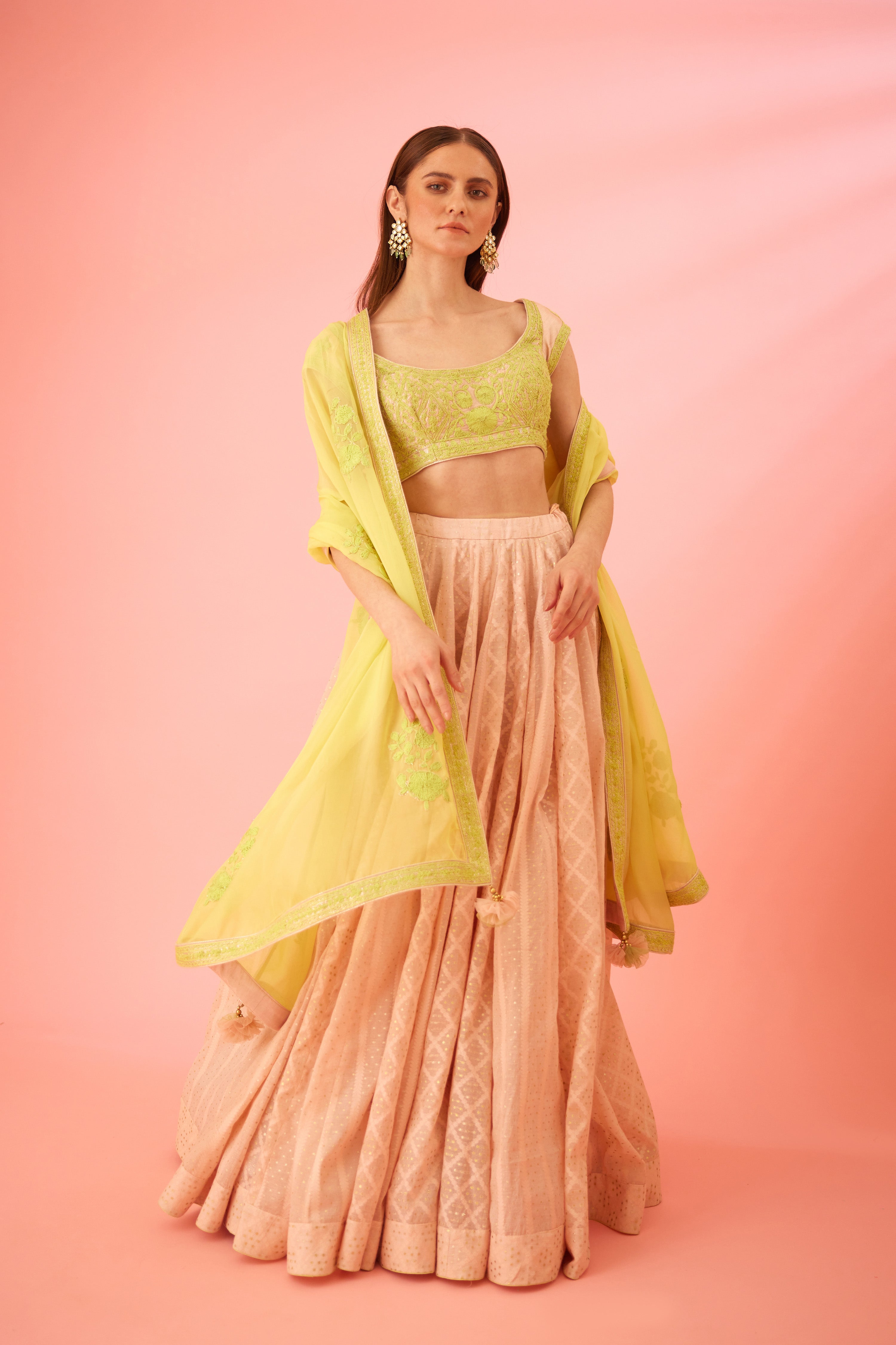 Crystal Rose Lehenga Set