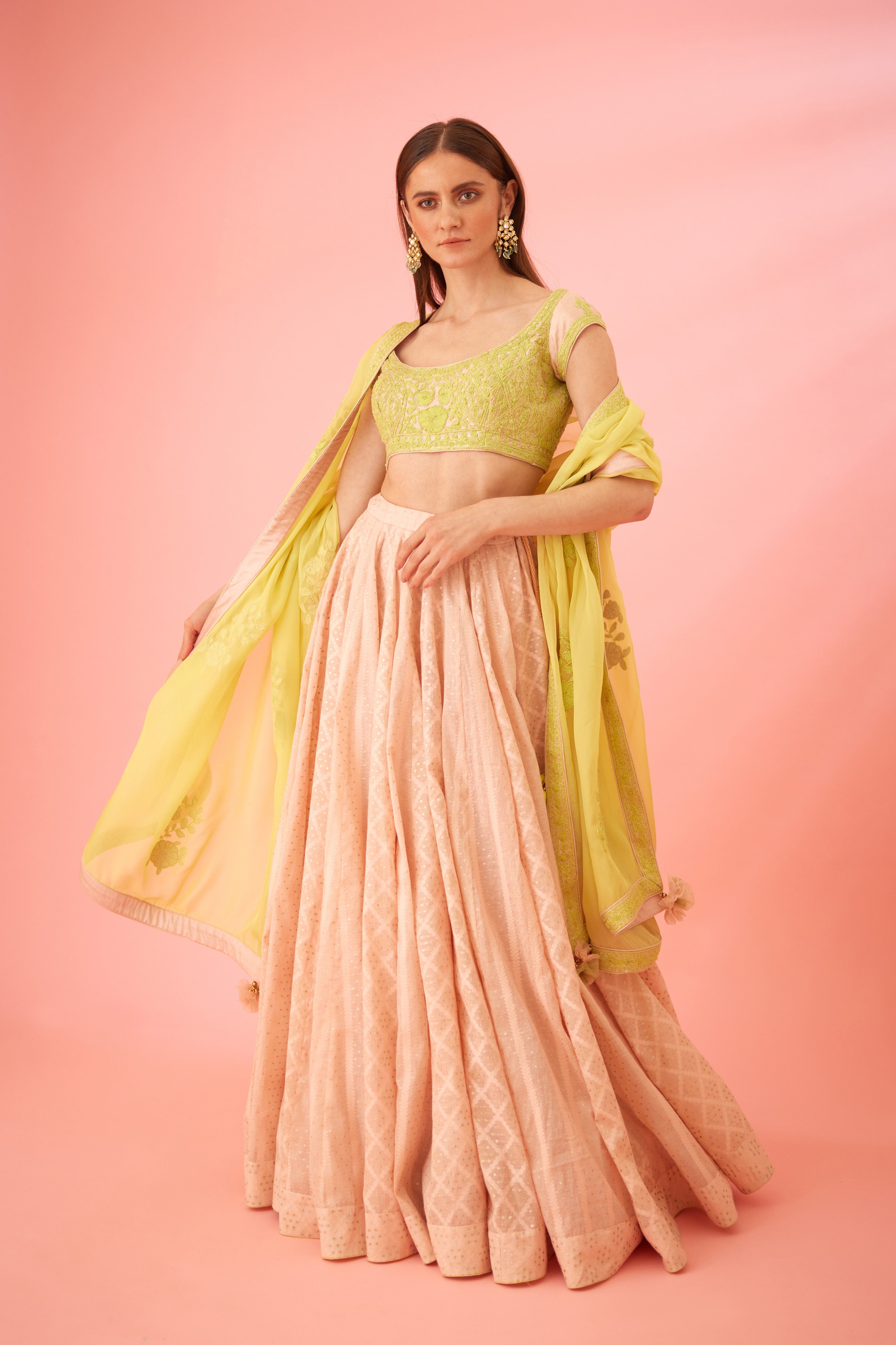 Crystal Rose Lehenga Set