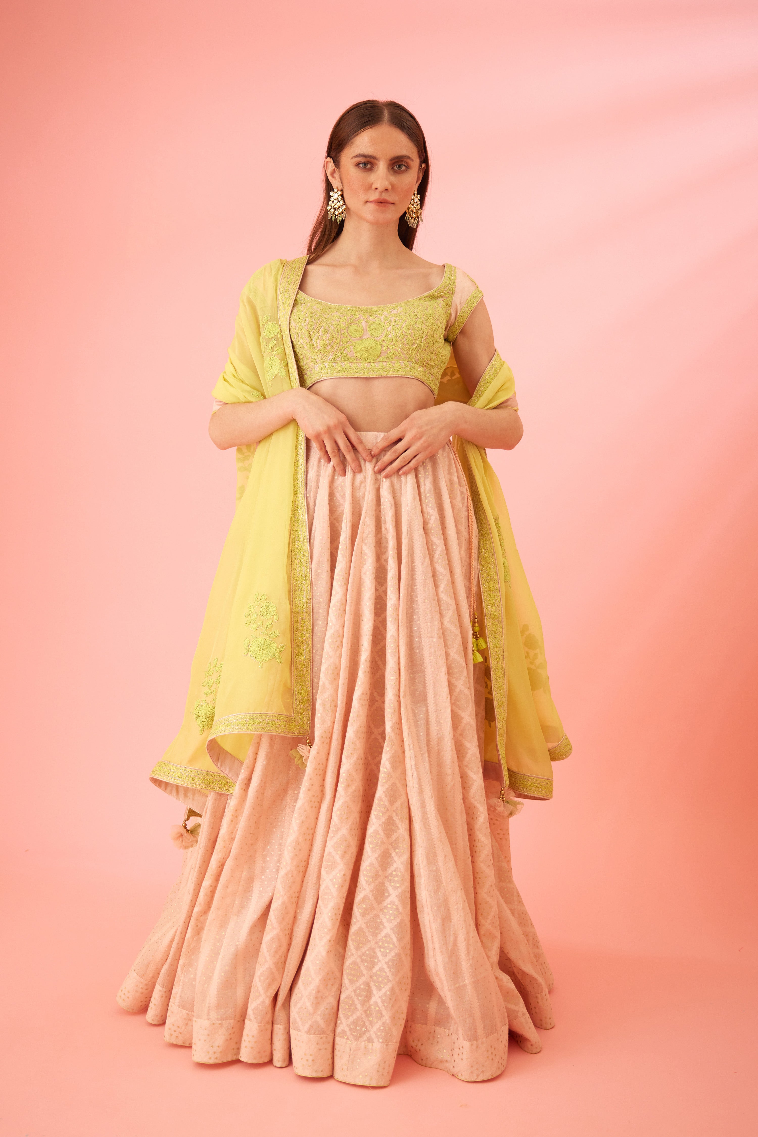 Crystal Rose Lehenga Set