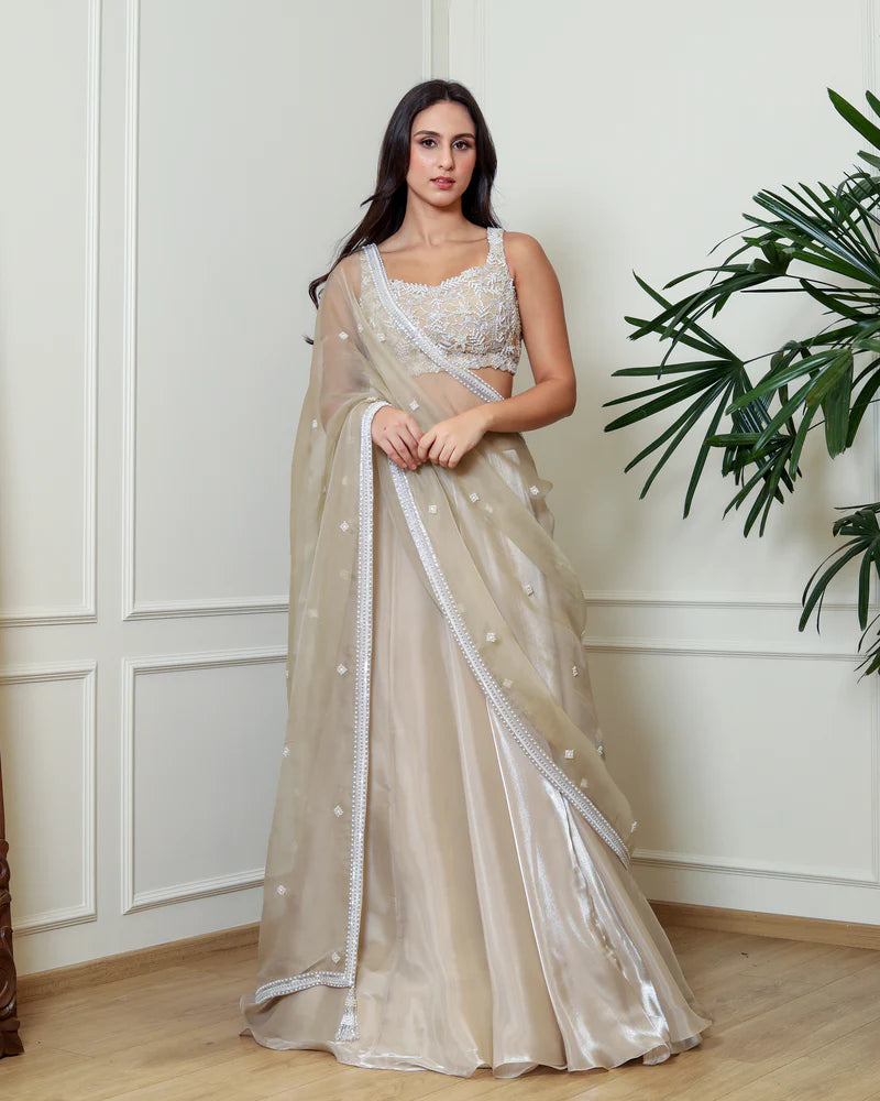 Antique Gold Lehenga Set
