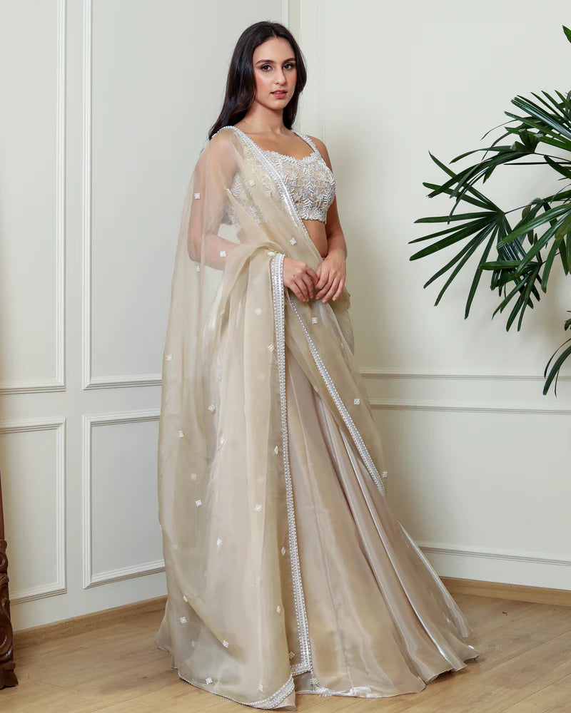Antique Gold Lehenga Set