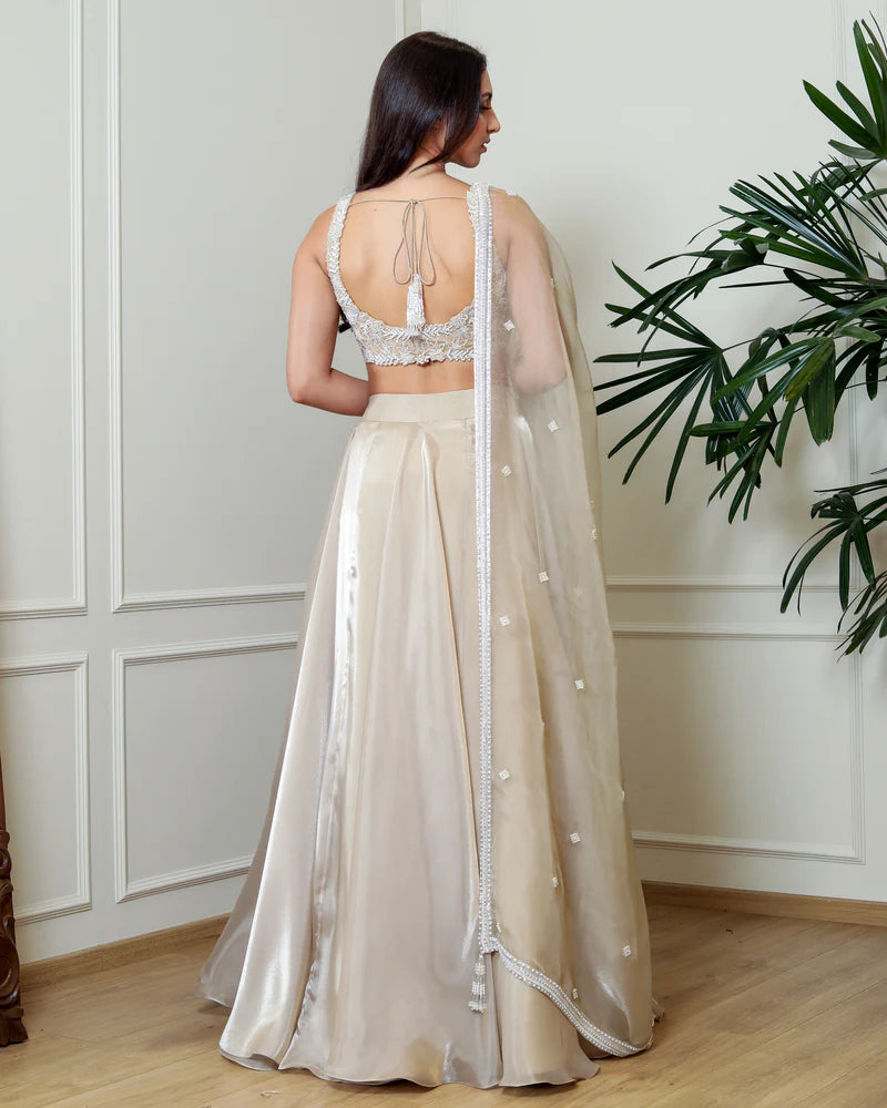 Antique Gold Lehenga Set
