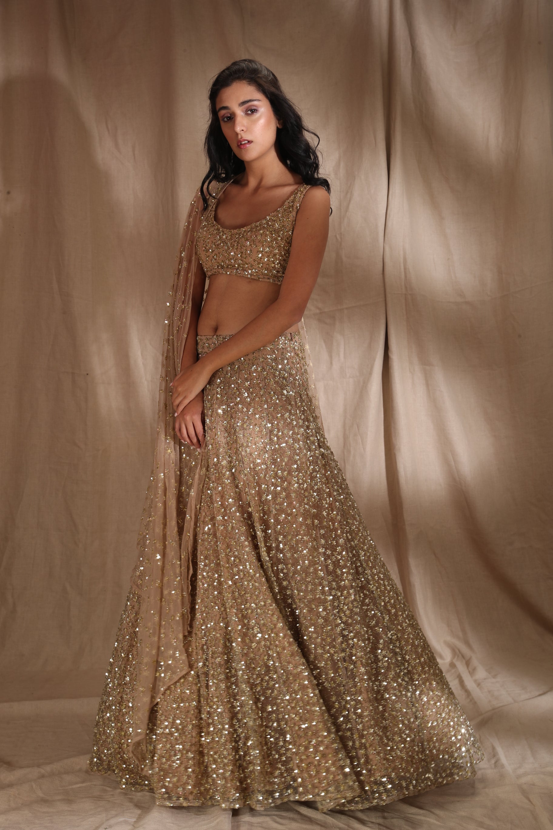 Gold Shimmer Lehenga Set