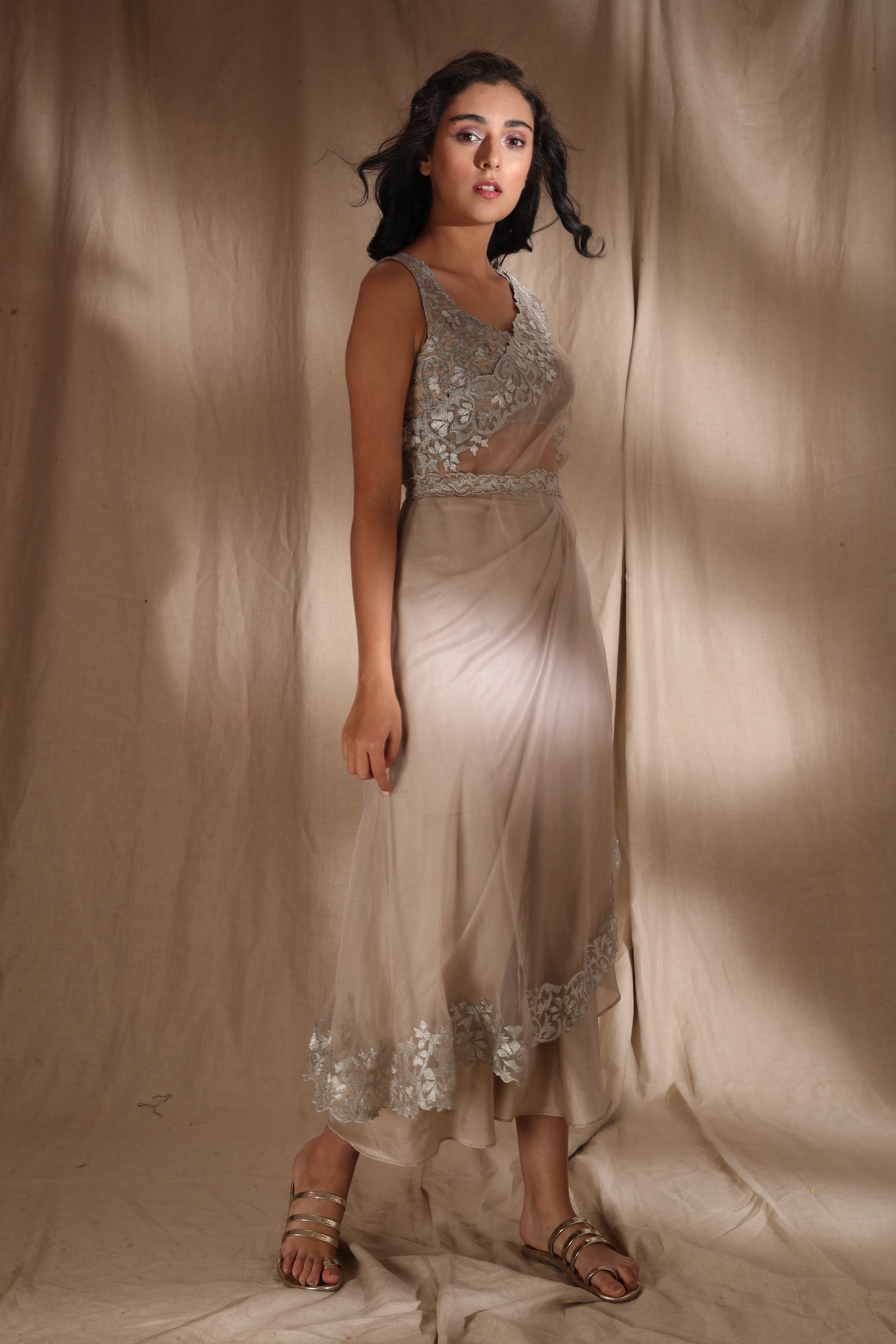 Silver And Light Gold Saree