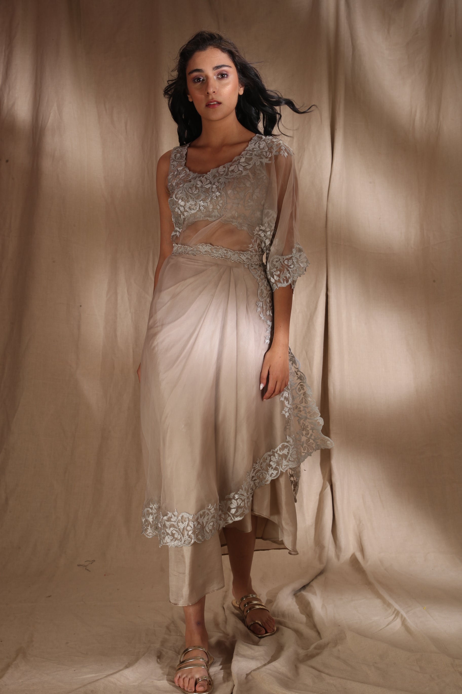 Silver And Light Gold Saree