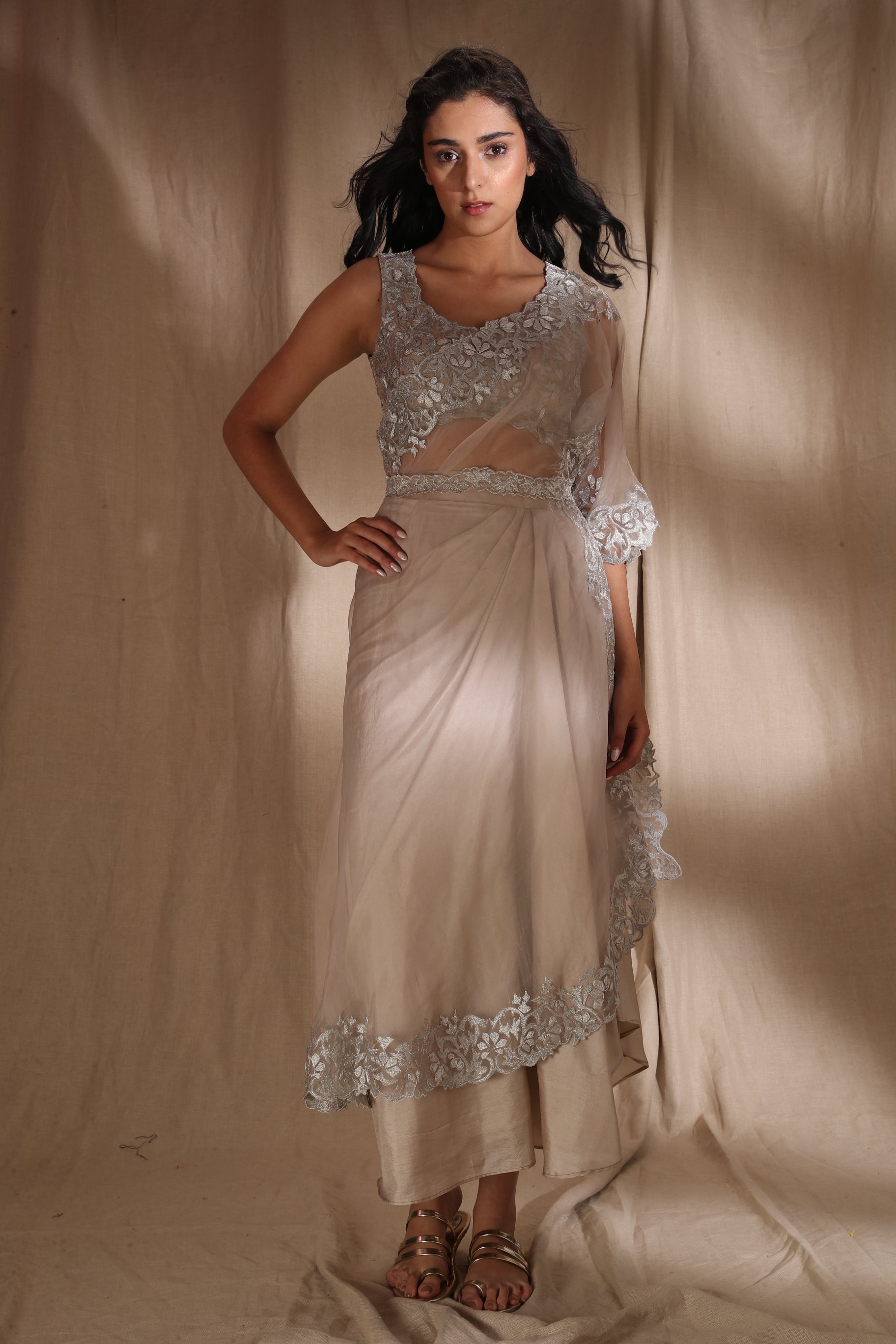 Silver And Light Gold Saree