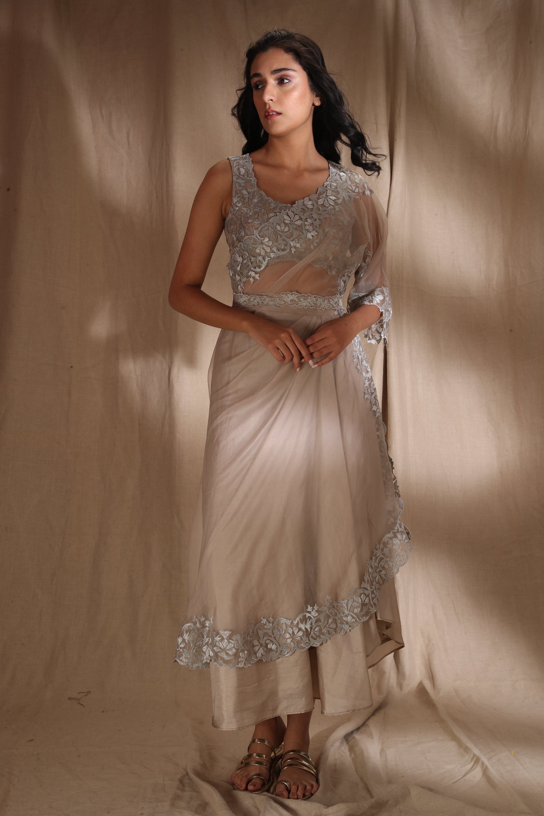 Silver And Light Gold Saree