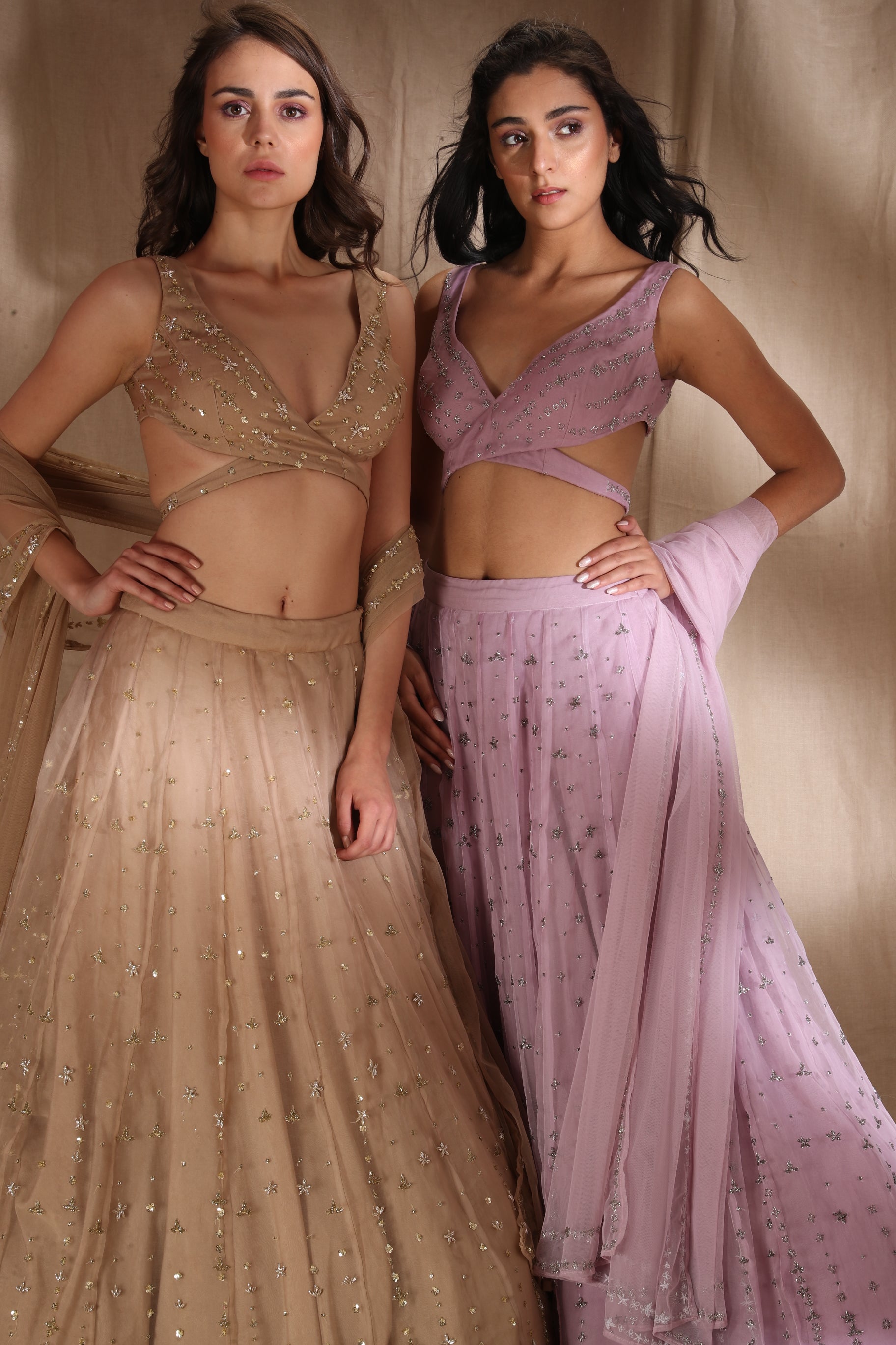 Lavender Lehenga With A Basic Blouse