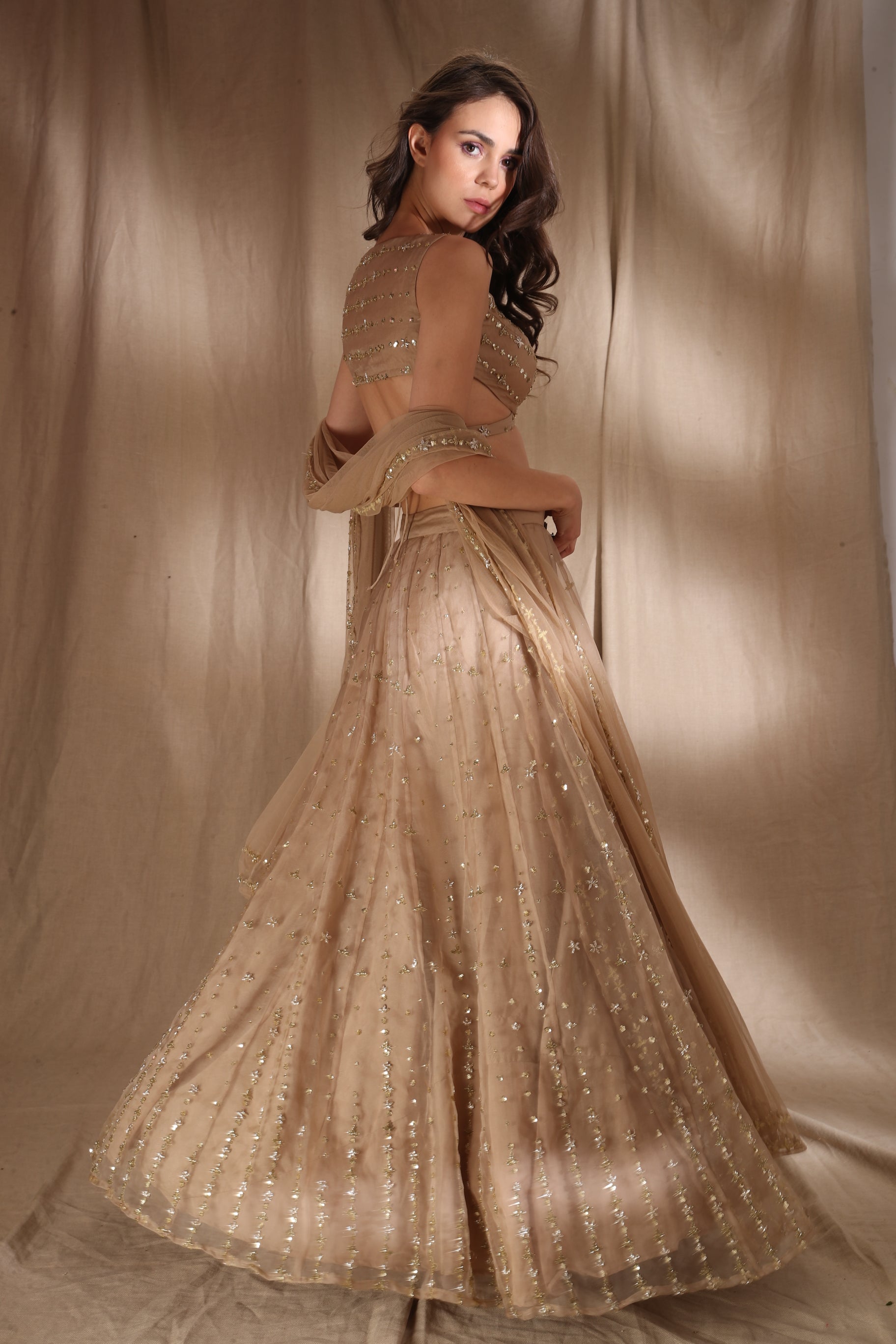 Pale Brown And Gold Lehenga