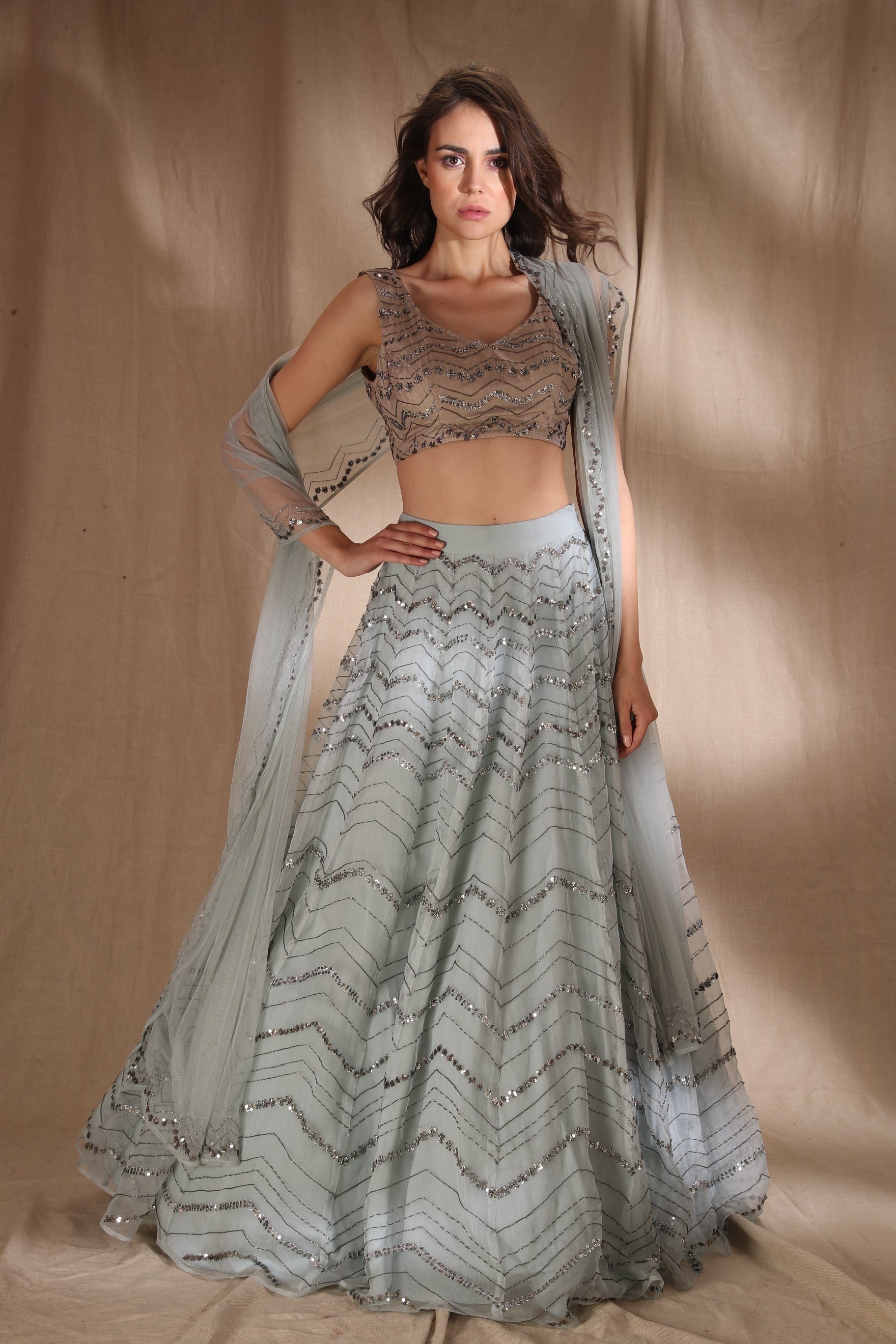Sky Blue Organza Lehenga