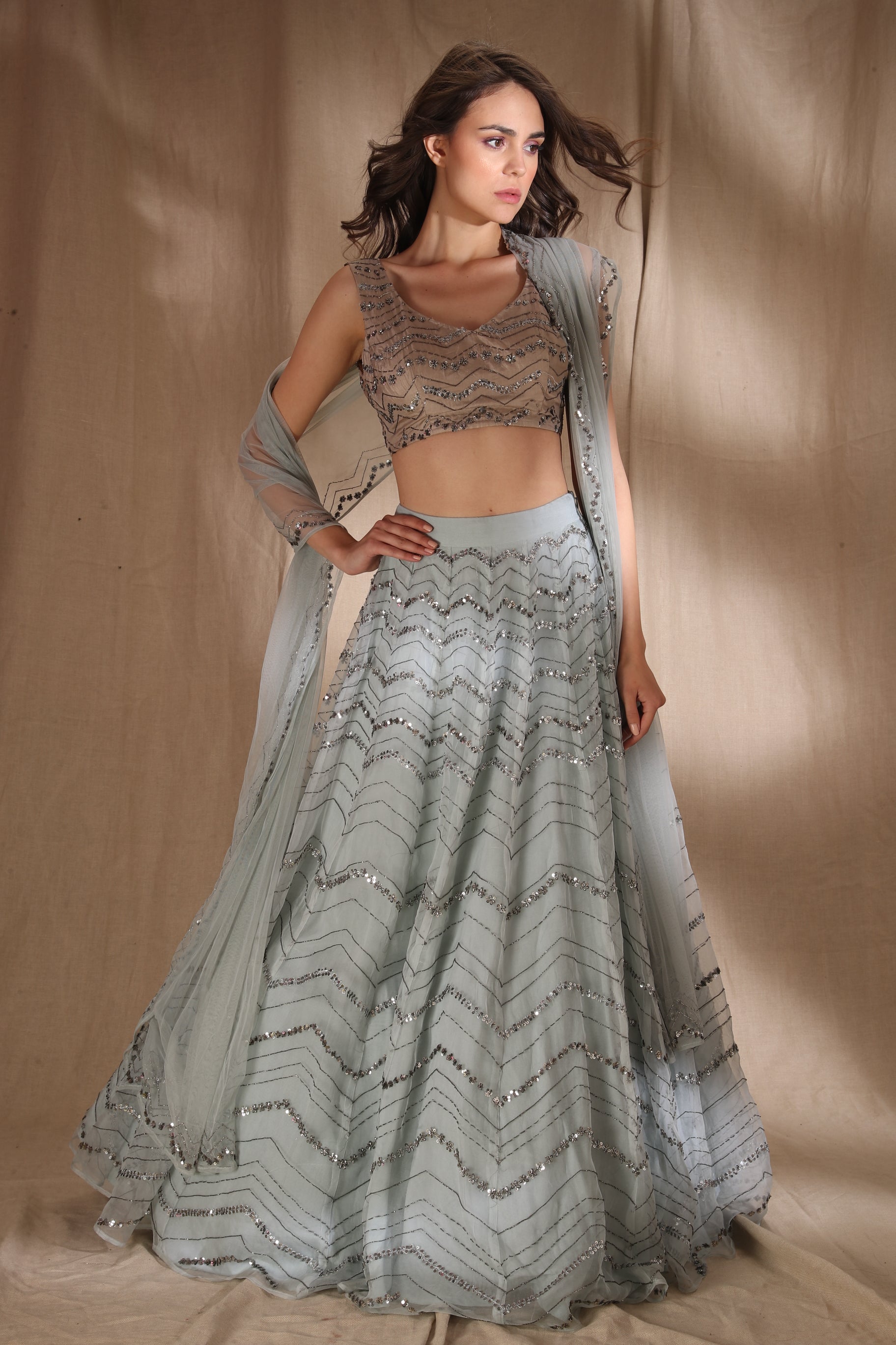 Sky Blue Organza Lehenga