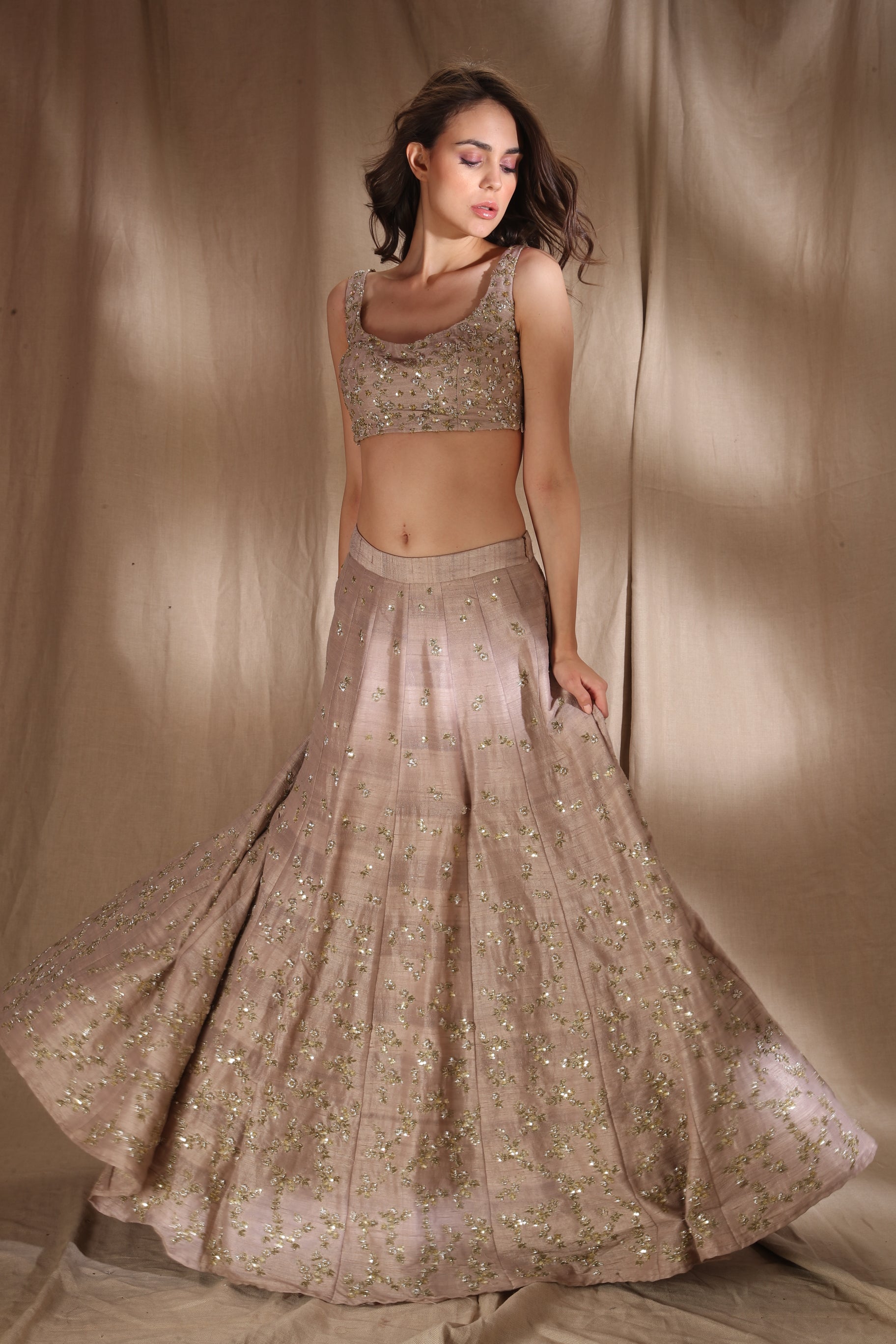 Grey Brown Raw Silk Lehenga