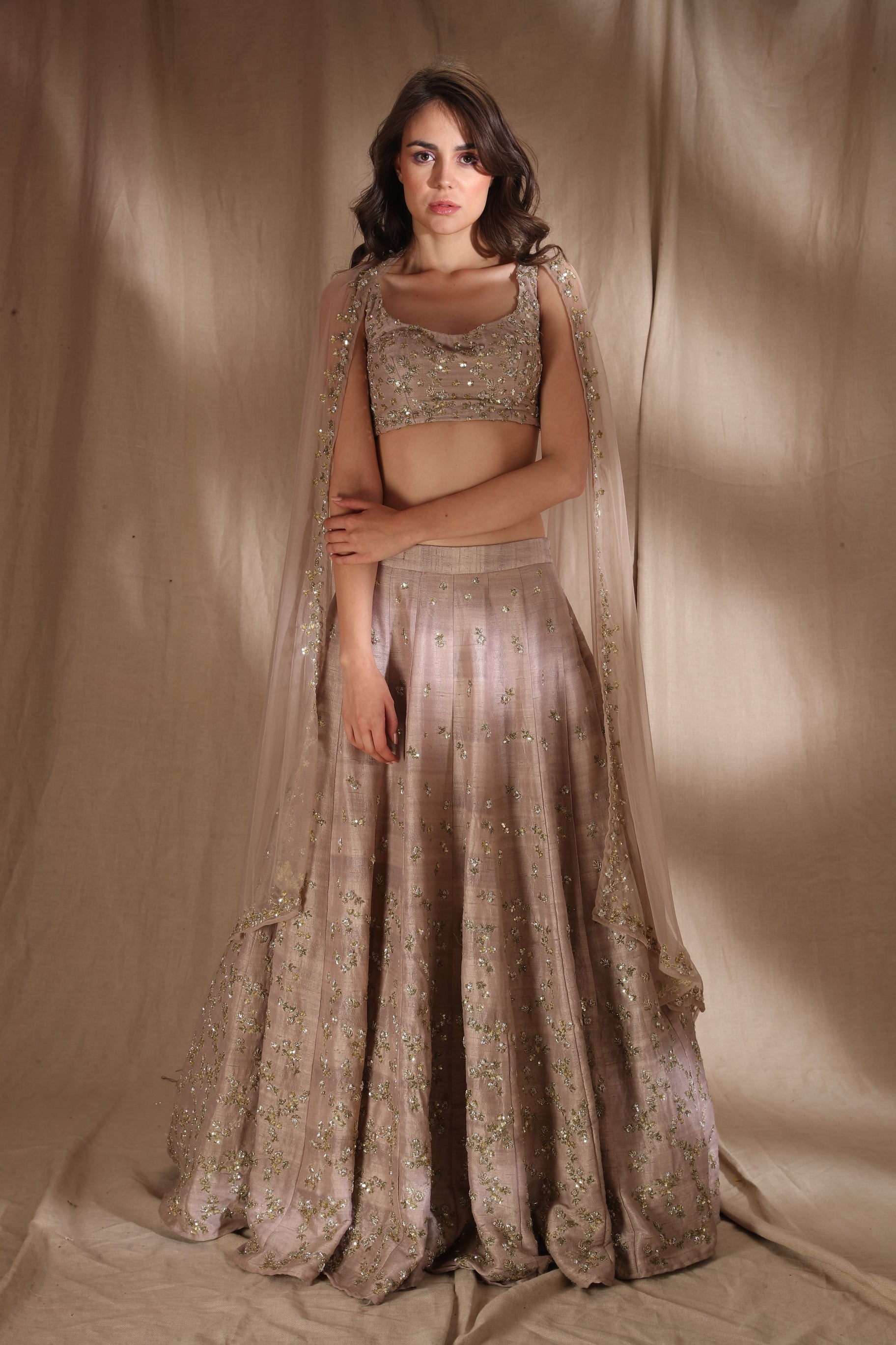 Grey Brown Raw Silk Lehenga