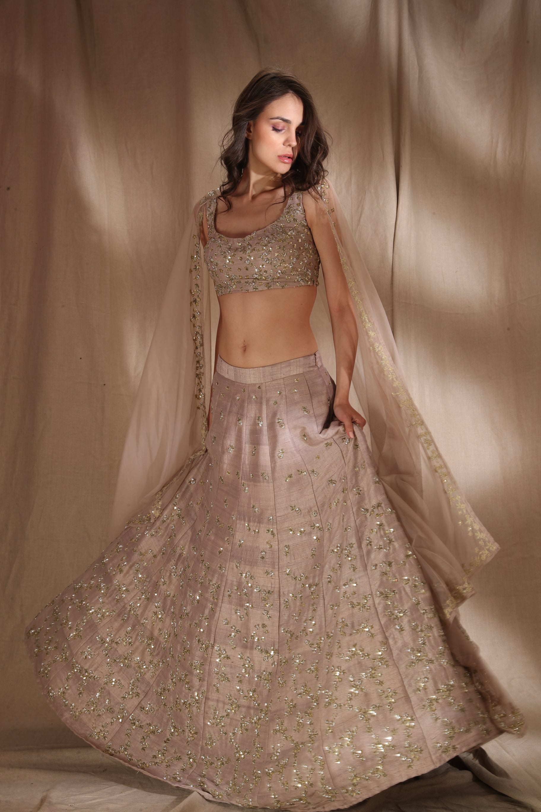Grey Brown Raw Silk Lehenga