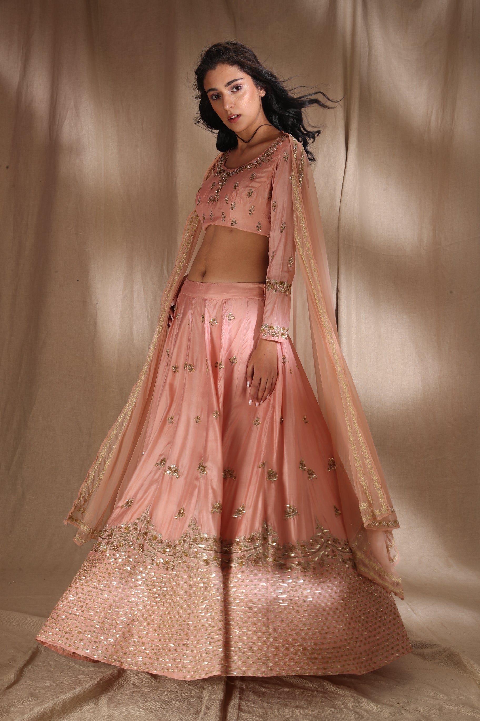 Pink Zari Silk Lehenga