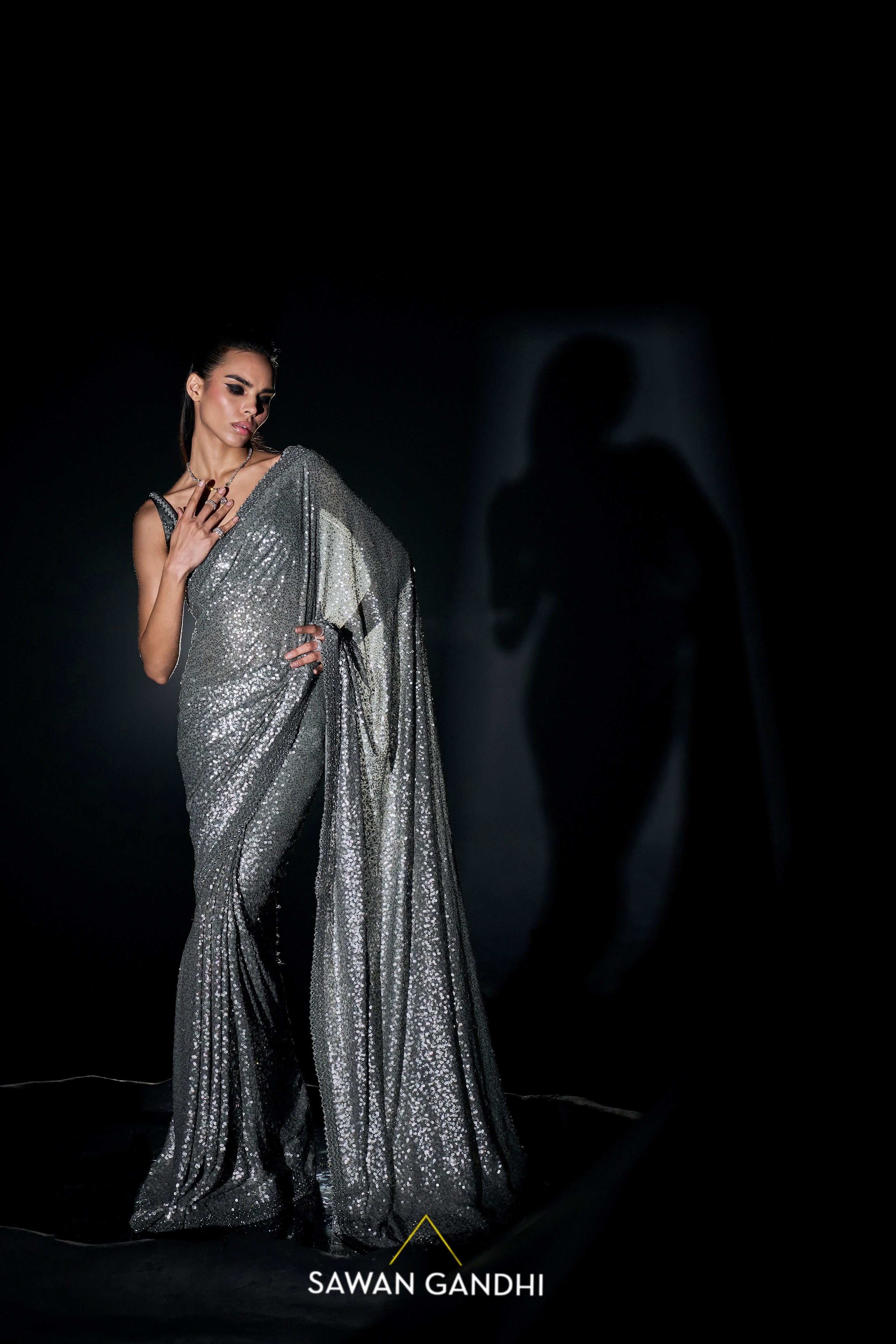 Silver sequins saree