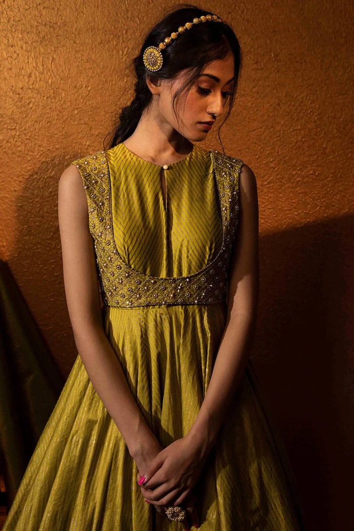 Shaina Anarkali Gown