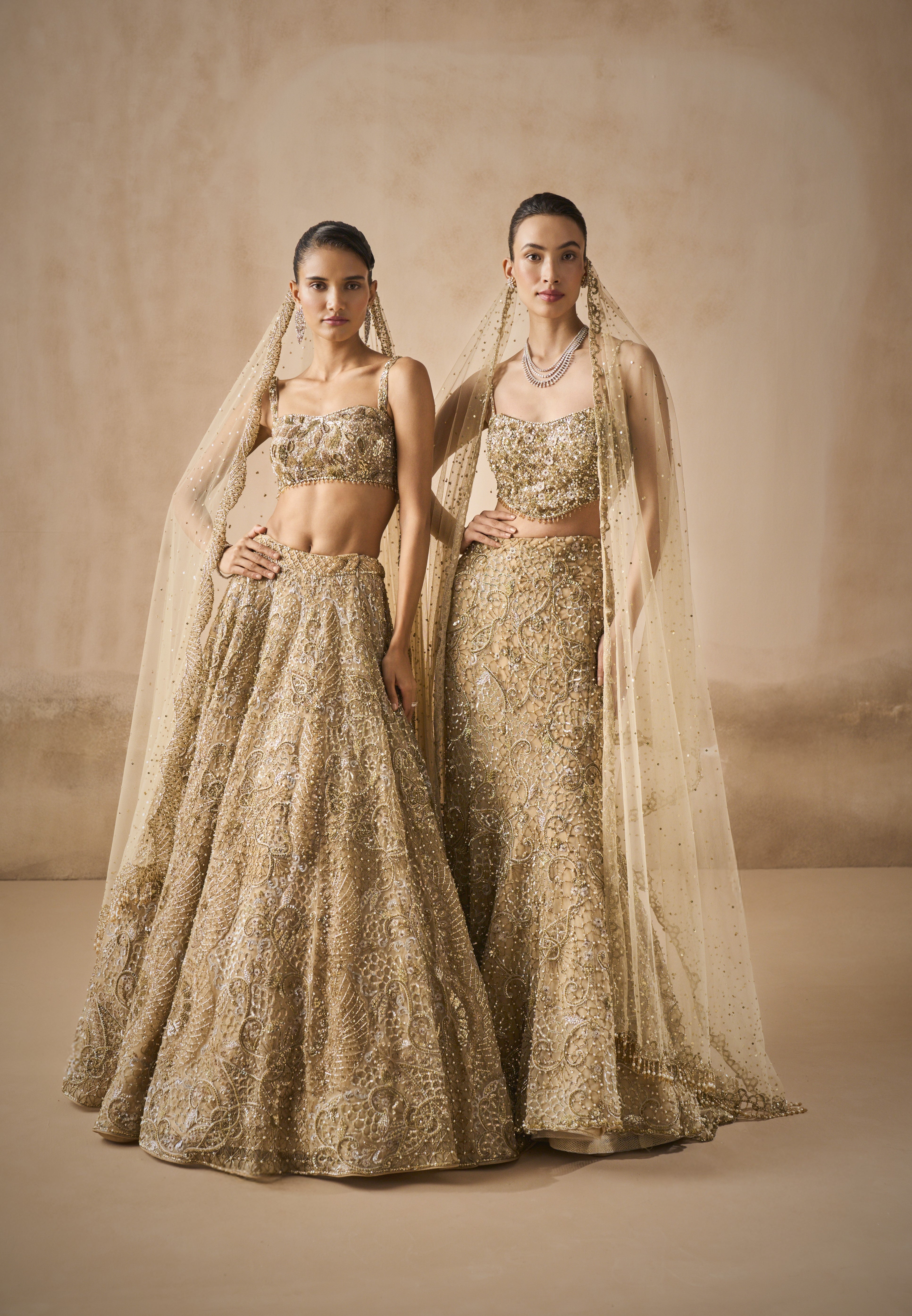 Beige Gold Tulle Sparkle Lehenga Set