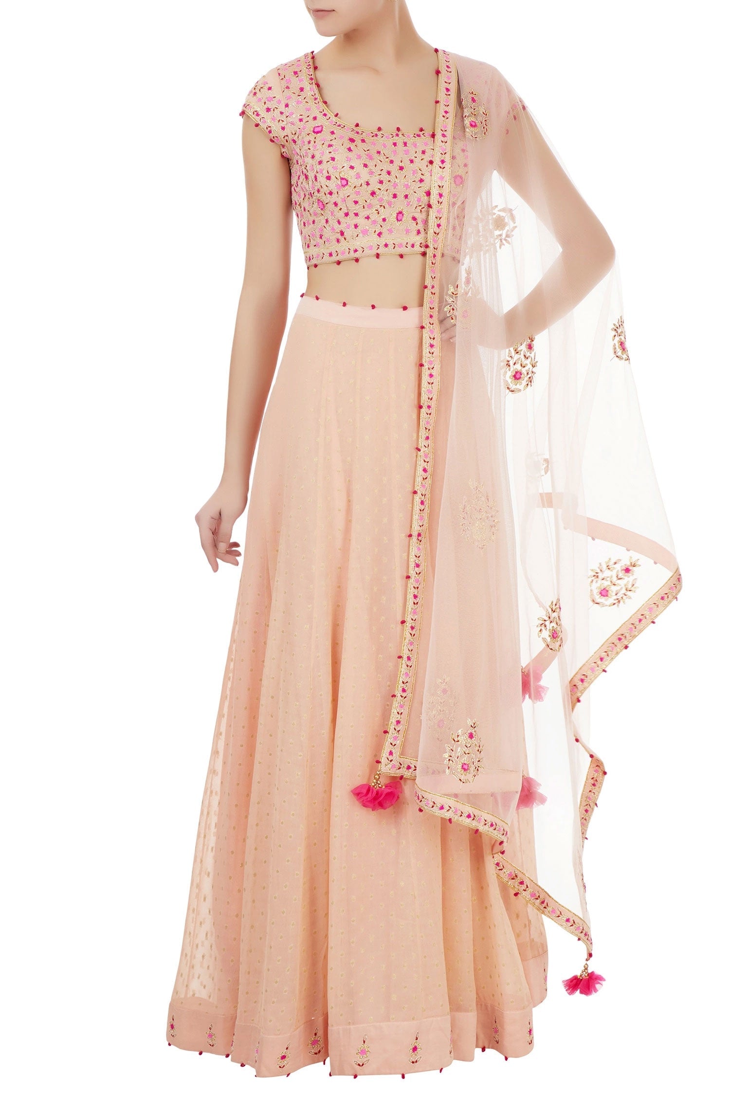Powder Pink Lehenga set