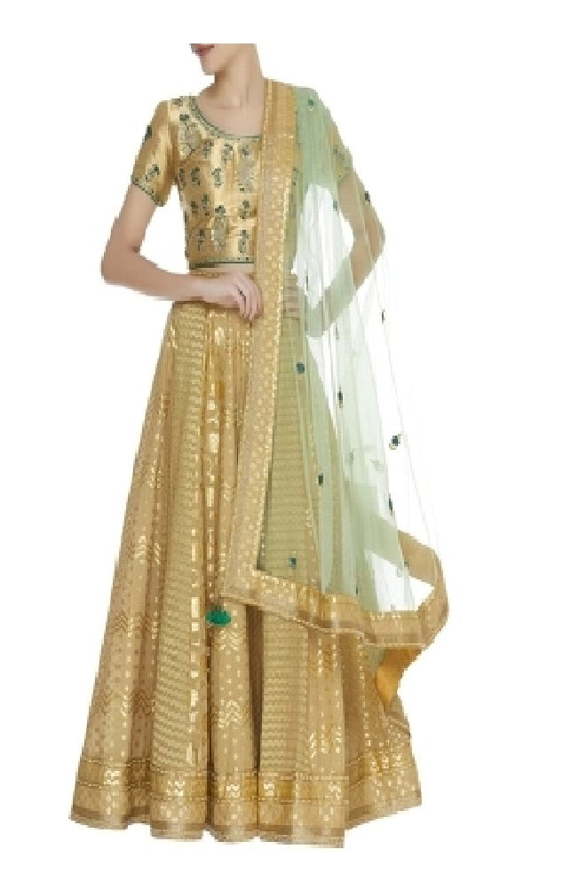 Zardozi chanderi & tissue lehenga set
