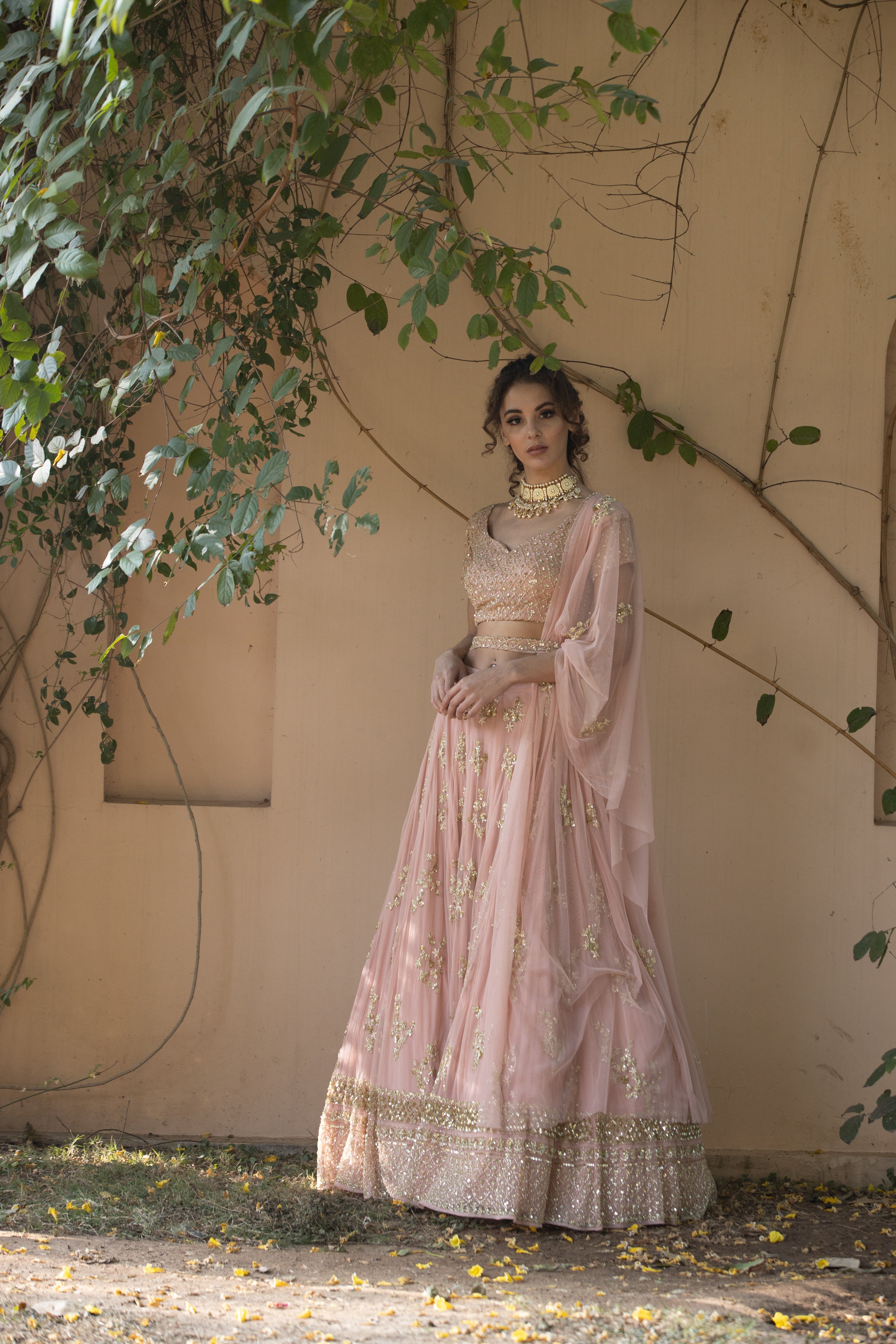 Blush Pink Bootie Lehenga With Gold Work