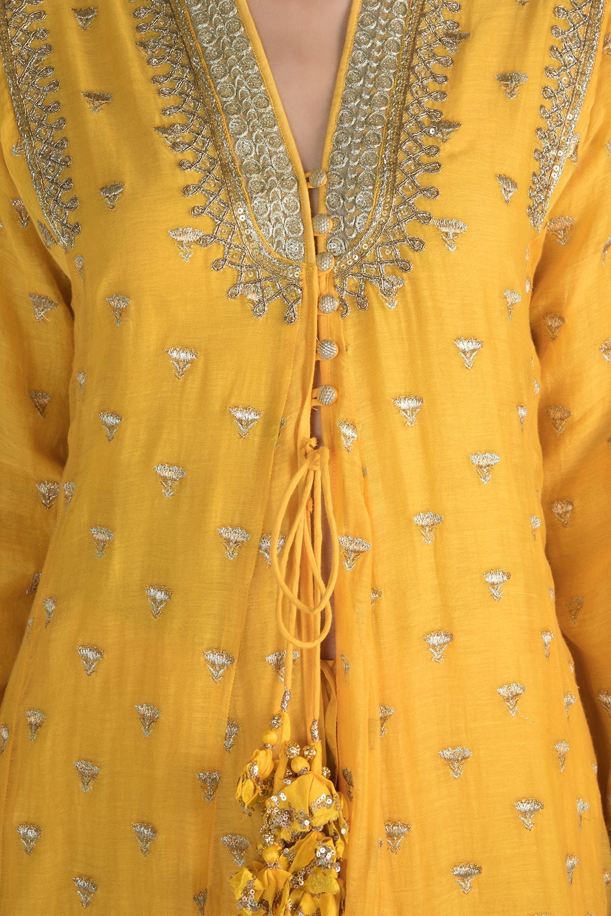 Meera Jacket Palazzo Set