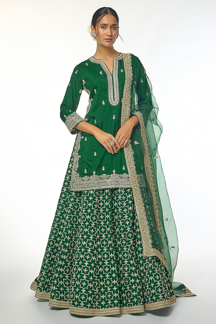 Vidya Lehenga Set
