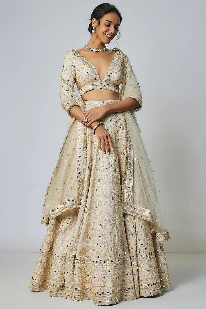 Raima Lehenga Set
