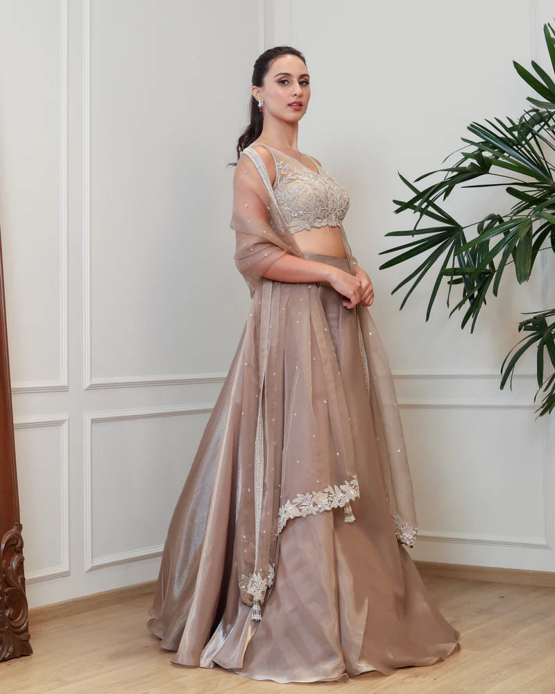 Taupe Organza Lehenga