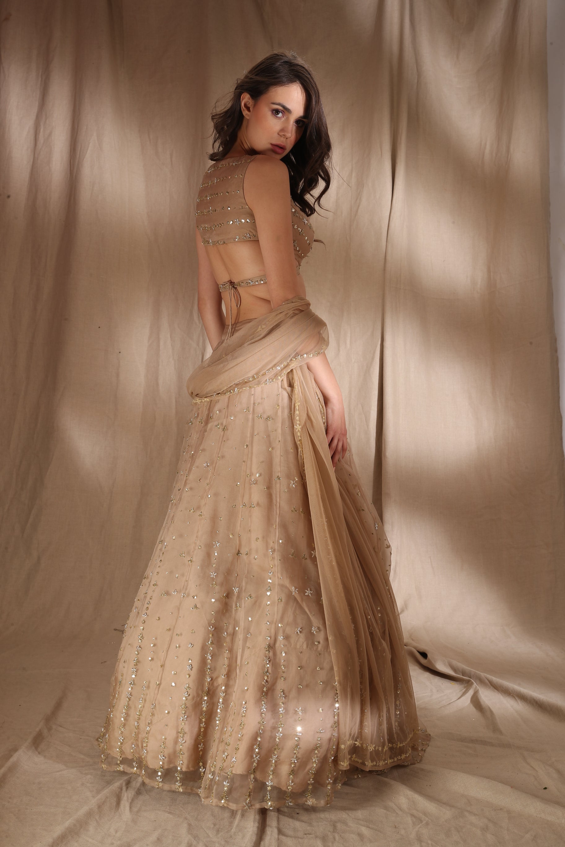 Pale Brown And Gold Lehenga
