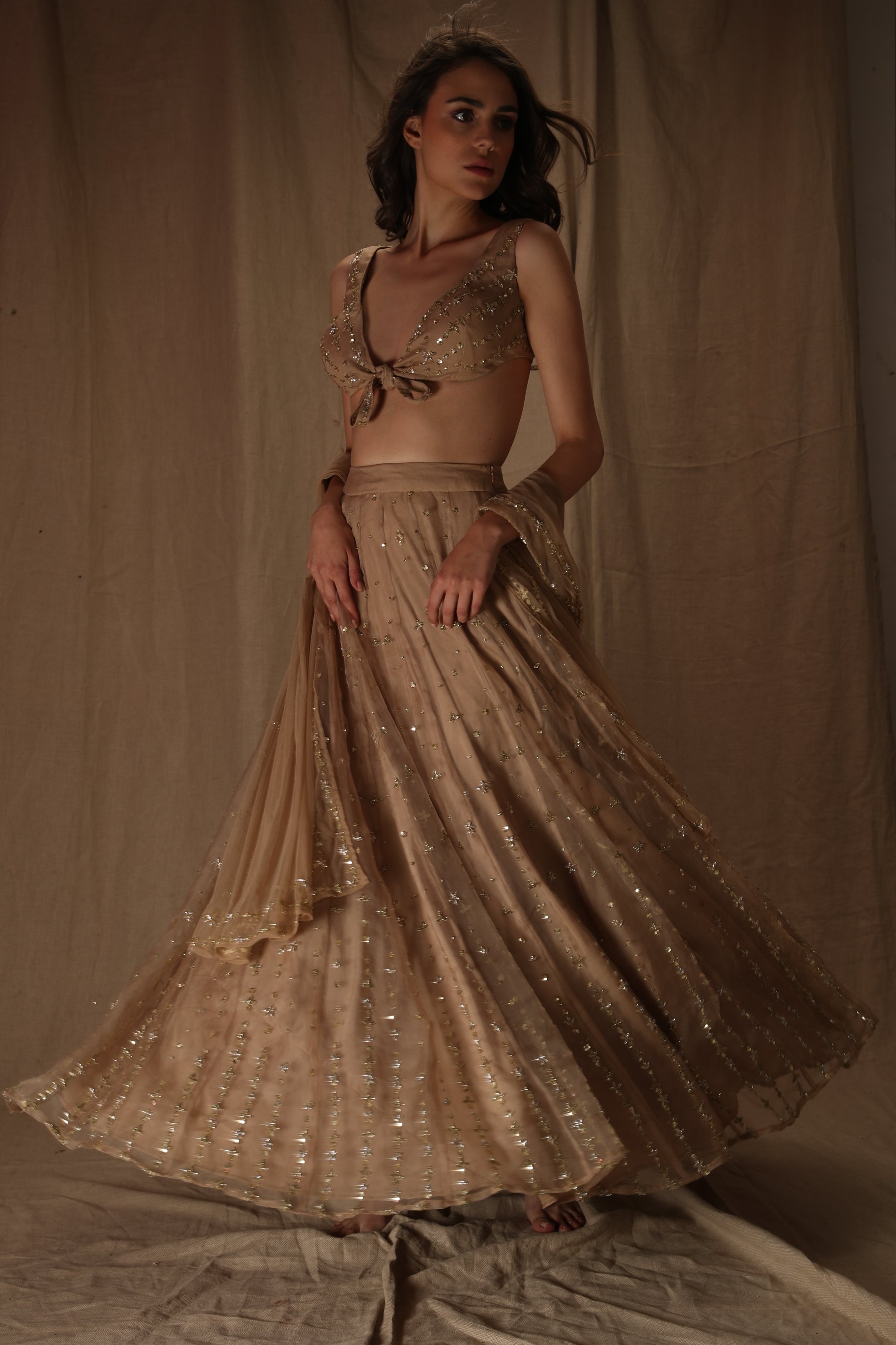 Pale Brown And Gold Lehenga