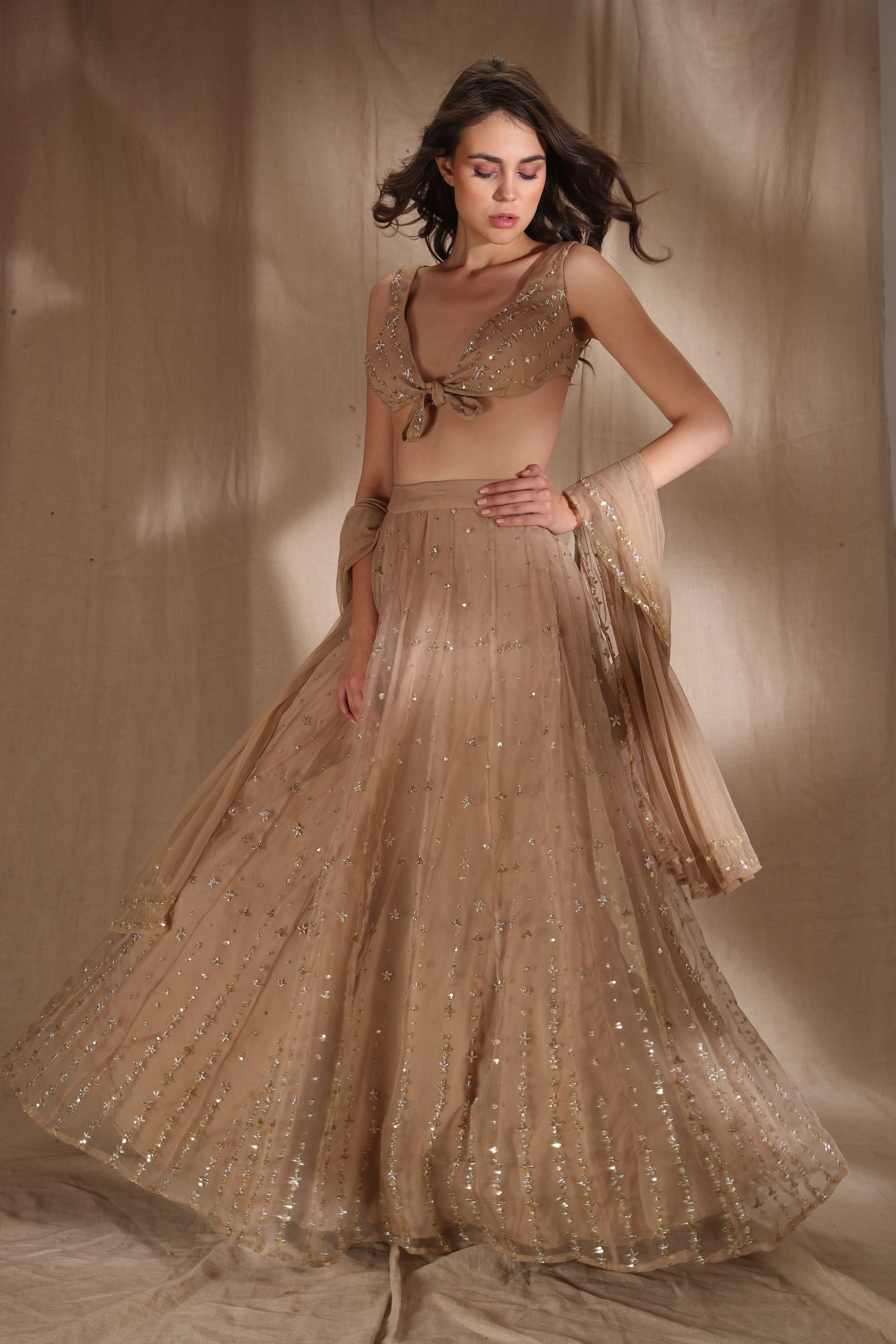 Pale Brown And Gold Lehenga