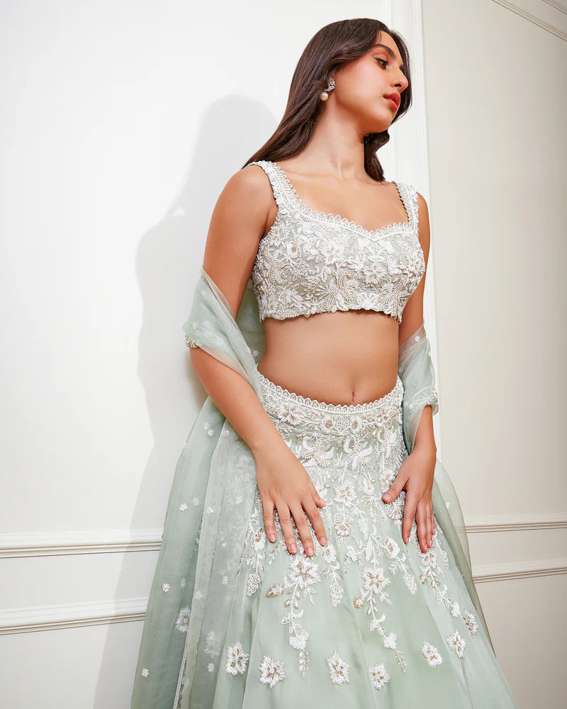 Wondrous Lehenga