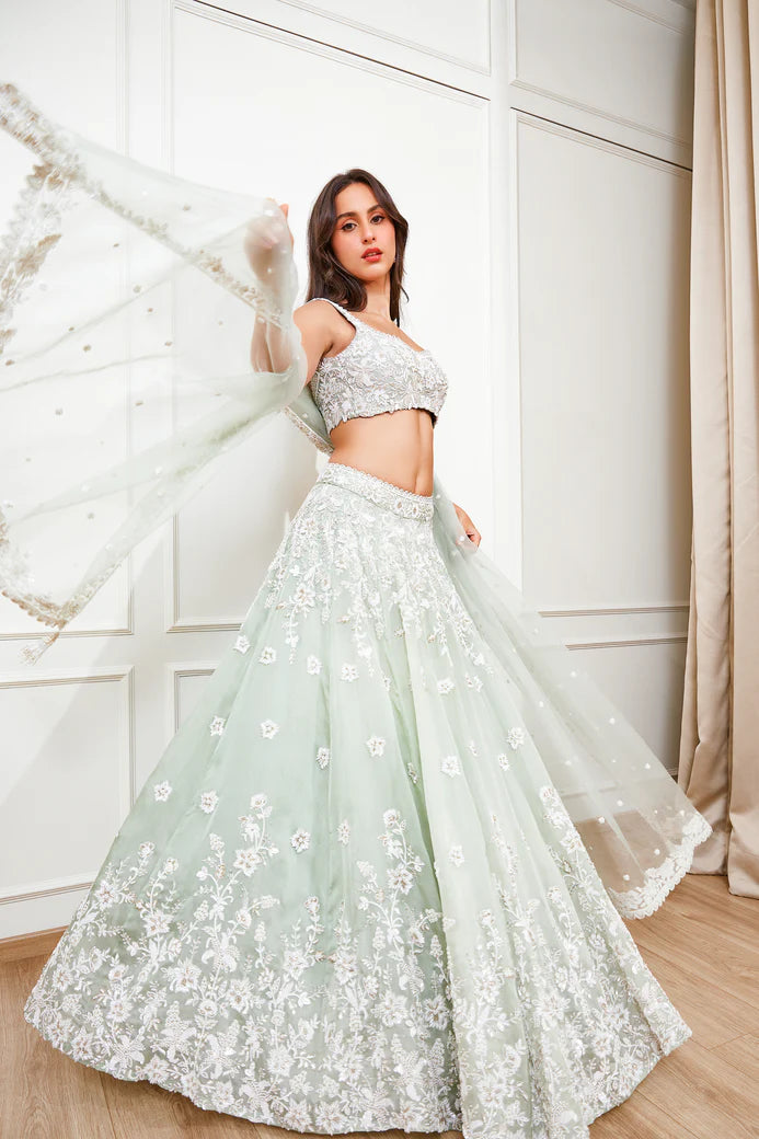 Wondrous Lehenga