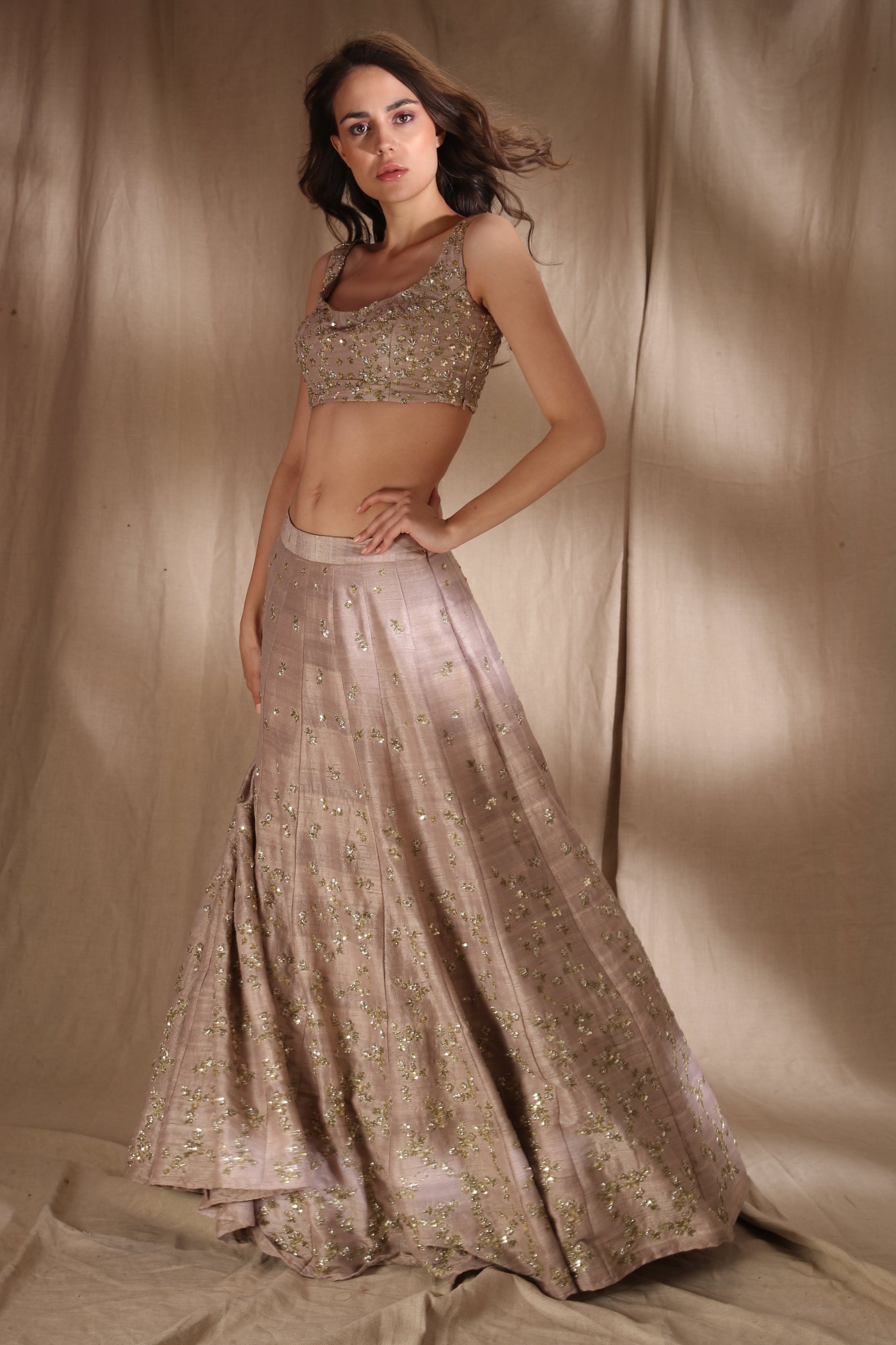 Grey Brown Raw Silk Lehenga