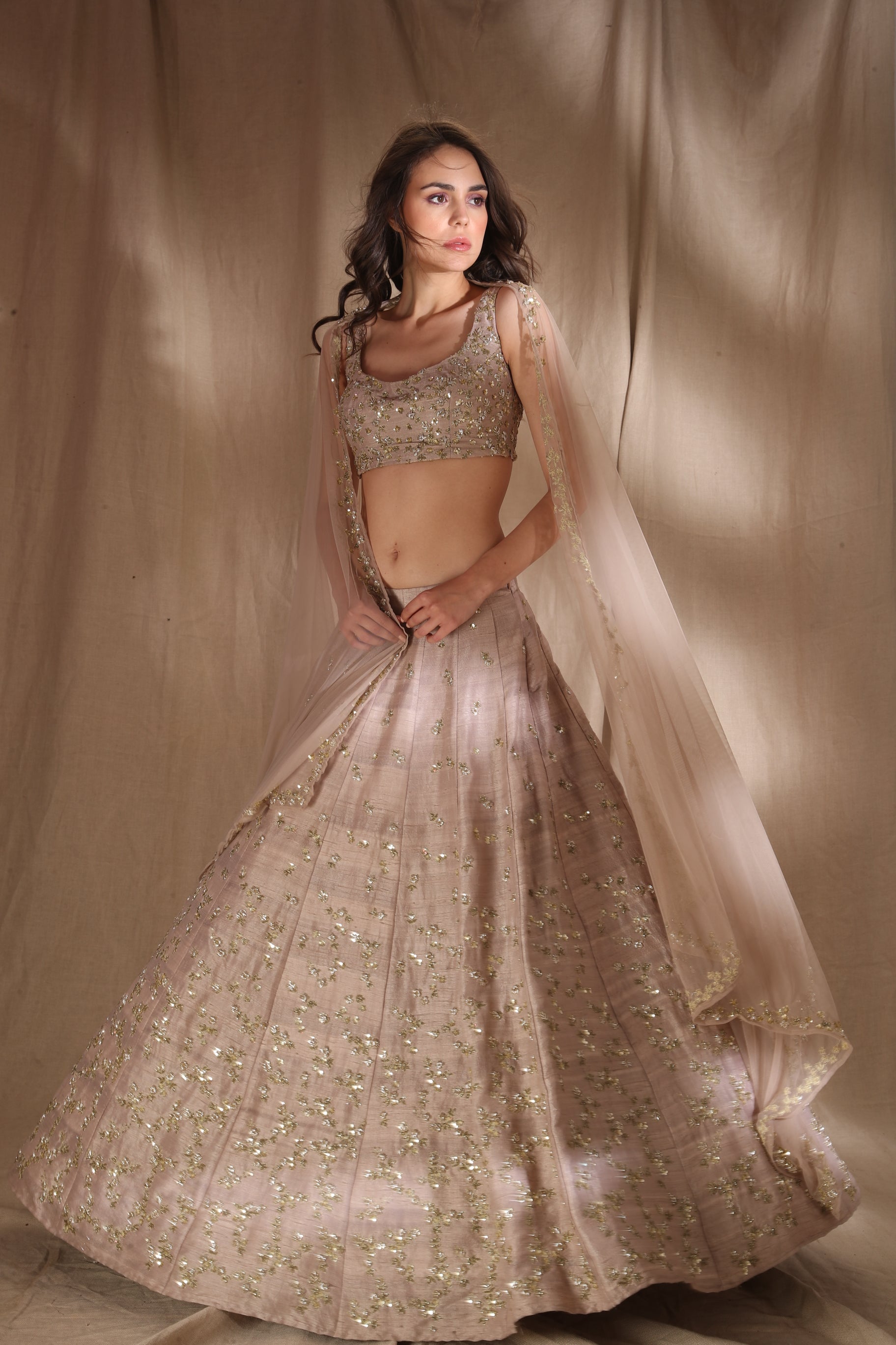 Grey Brown Raw Silk Lehenga