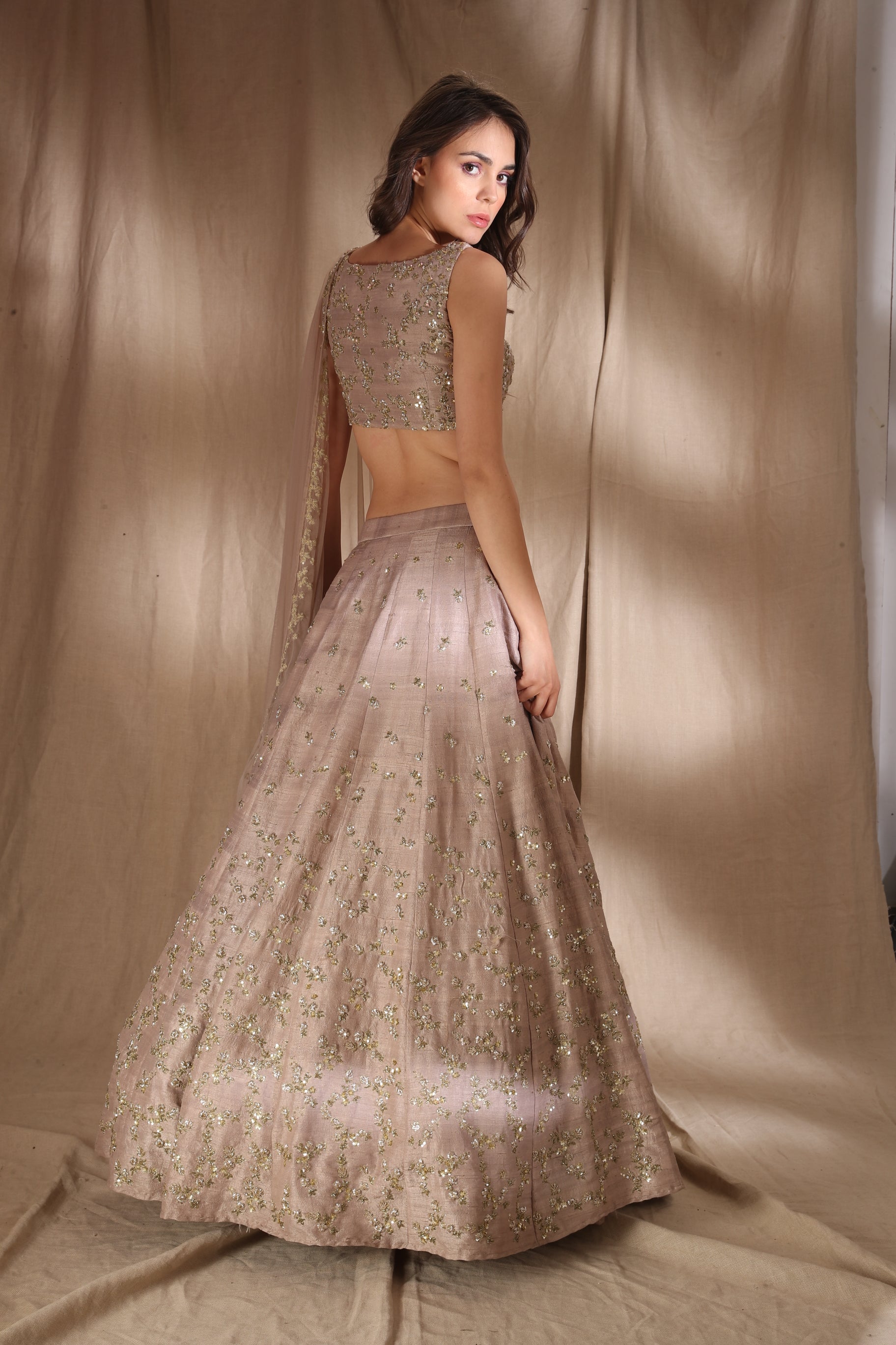 Grey Brown Raw Silk Lehenga