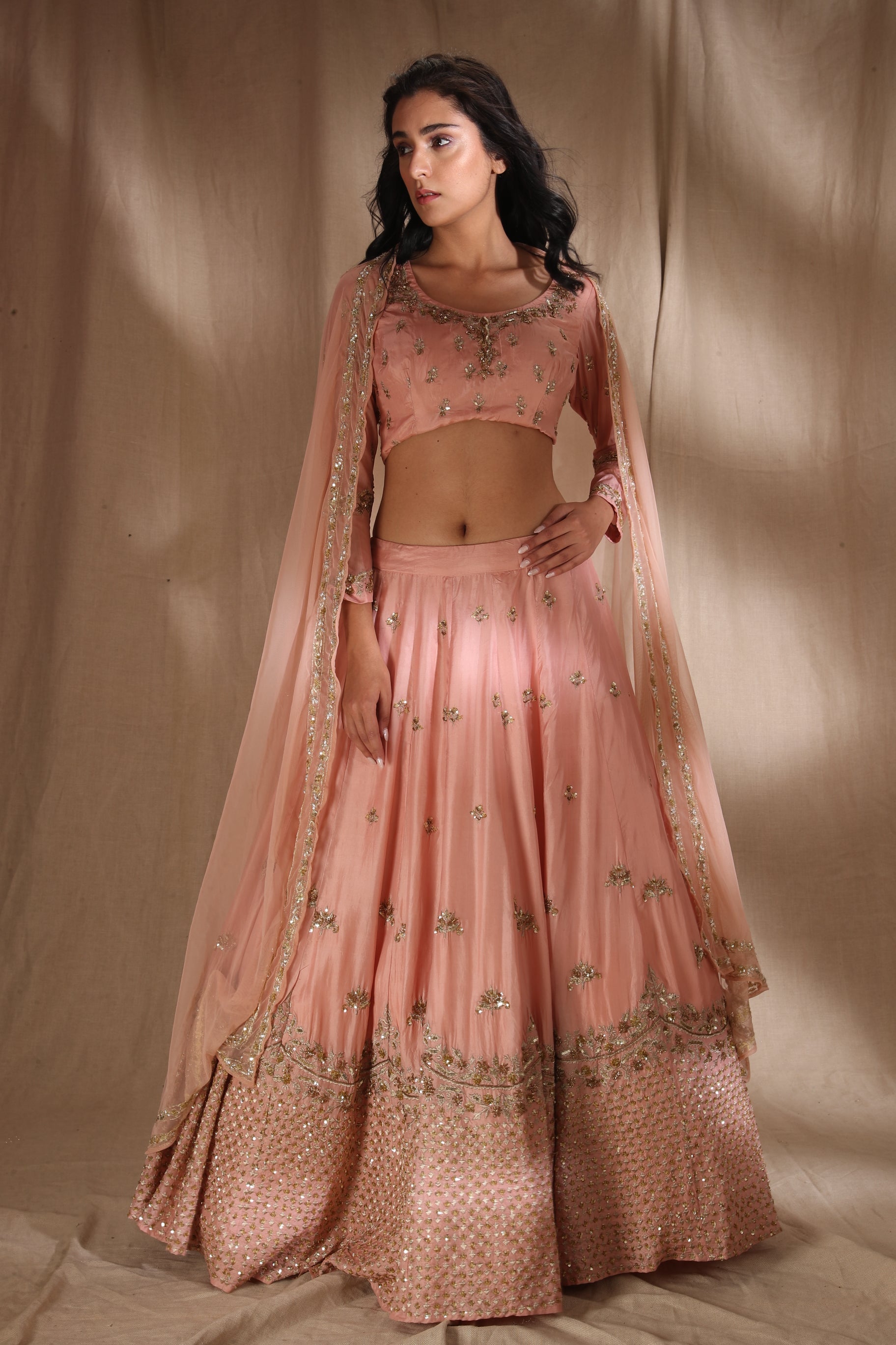 Pink Zari Silk Lehenga
