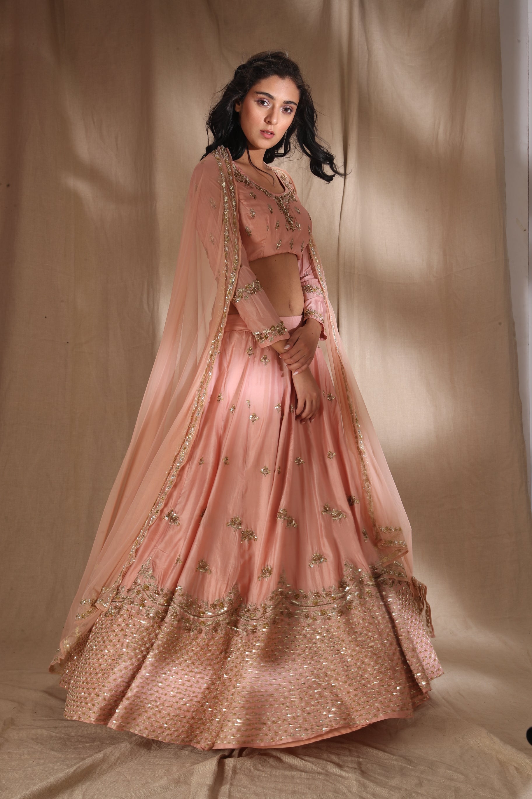 Pink Zari Silk Lehenga