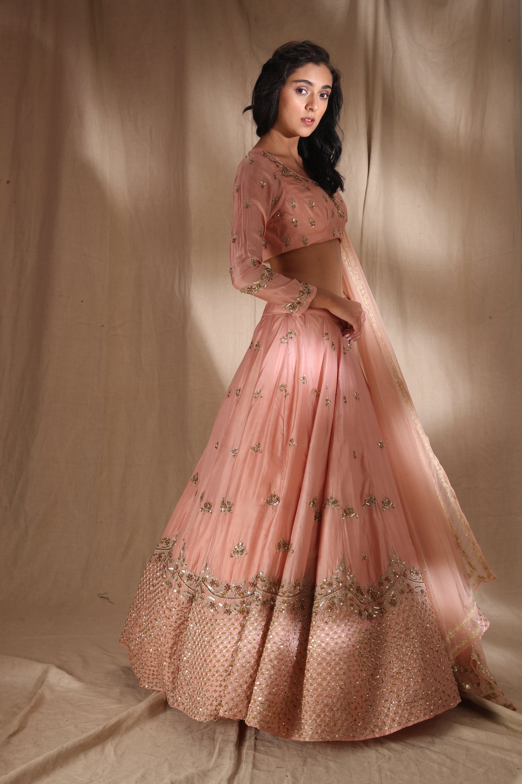 Pink Zari Silk Lehenga